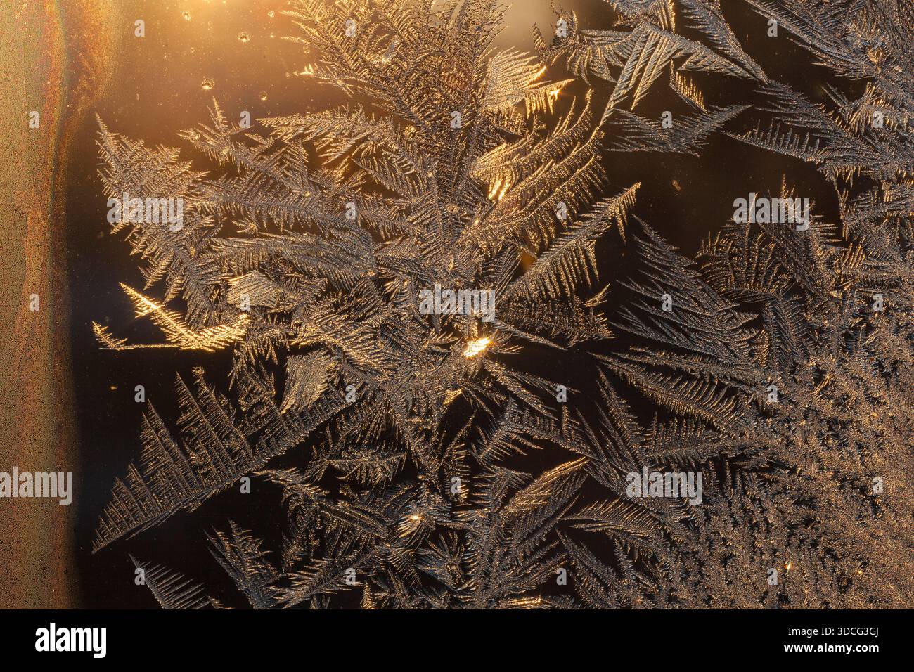Frost pattern on the window Stock Photo