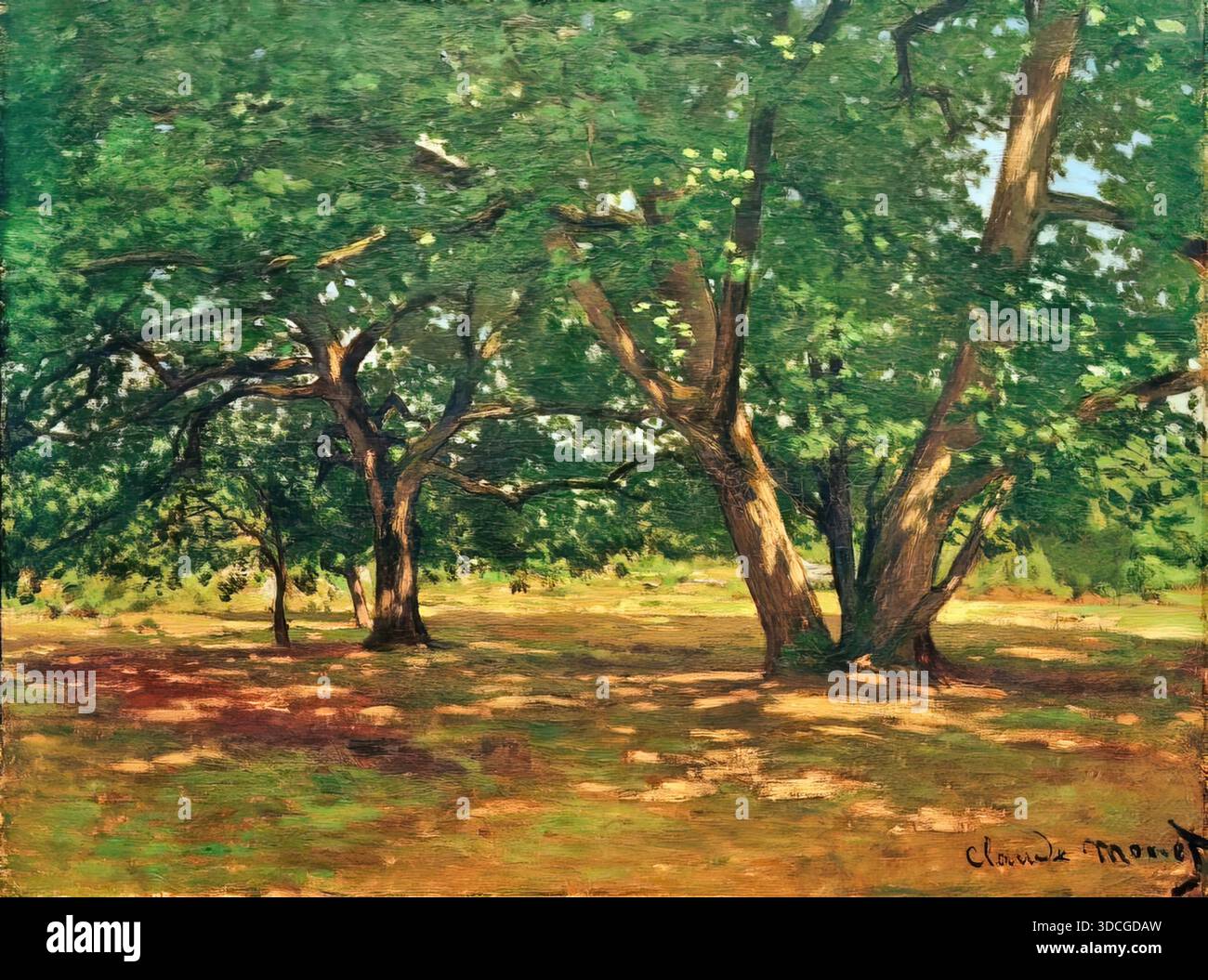 forest of fontainebleau'; monet hi-res stock photography and