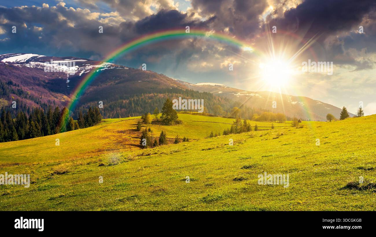 beautiful springtime landscape in mountains at sunset. spruce trees on the grassy hills in evening light. snow on the top of ridge. fluffy clouds on s Stock Photo