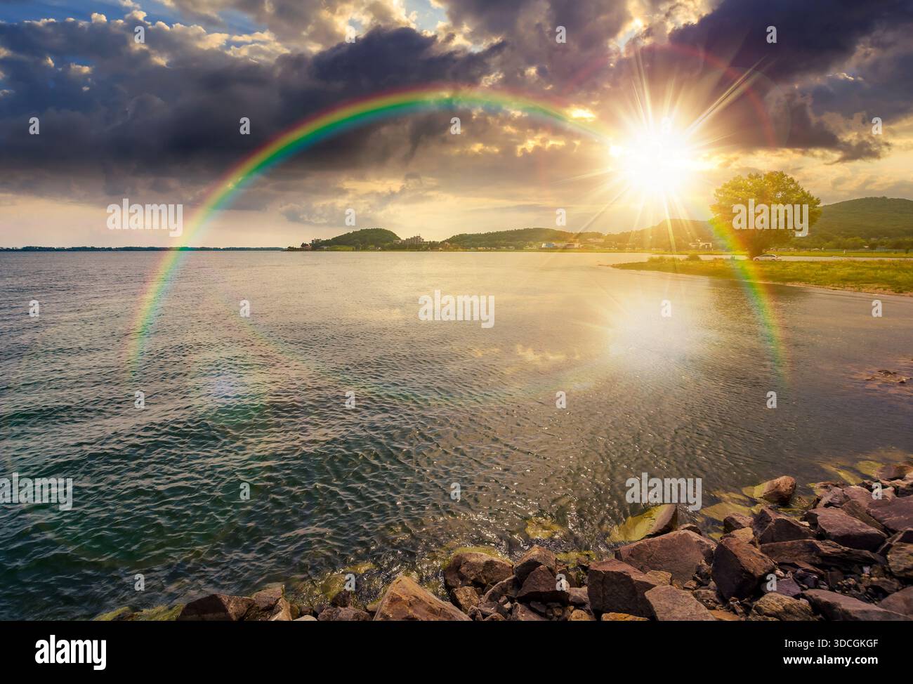 tree on the shore of a lake in summer at sunset. beautiful and calm scenery with large body of water in evening light. mountain range in the distance. Stock Photo