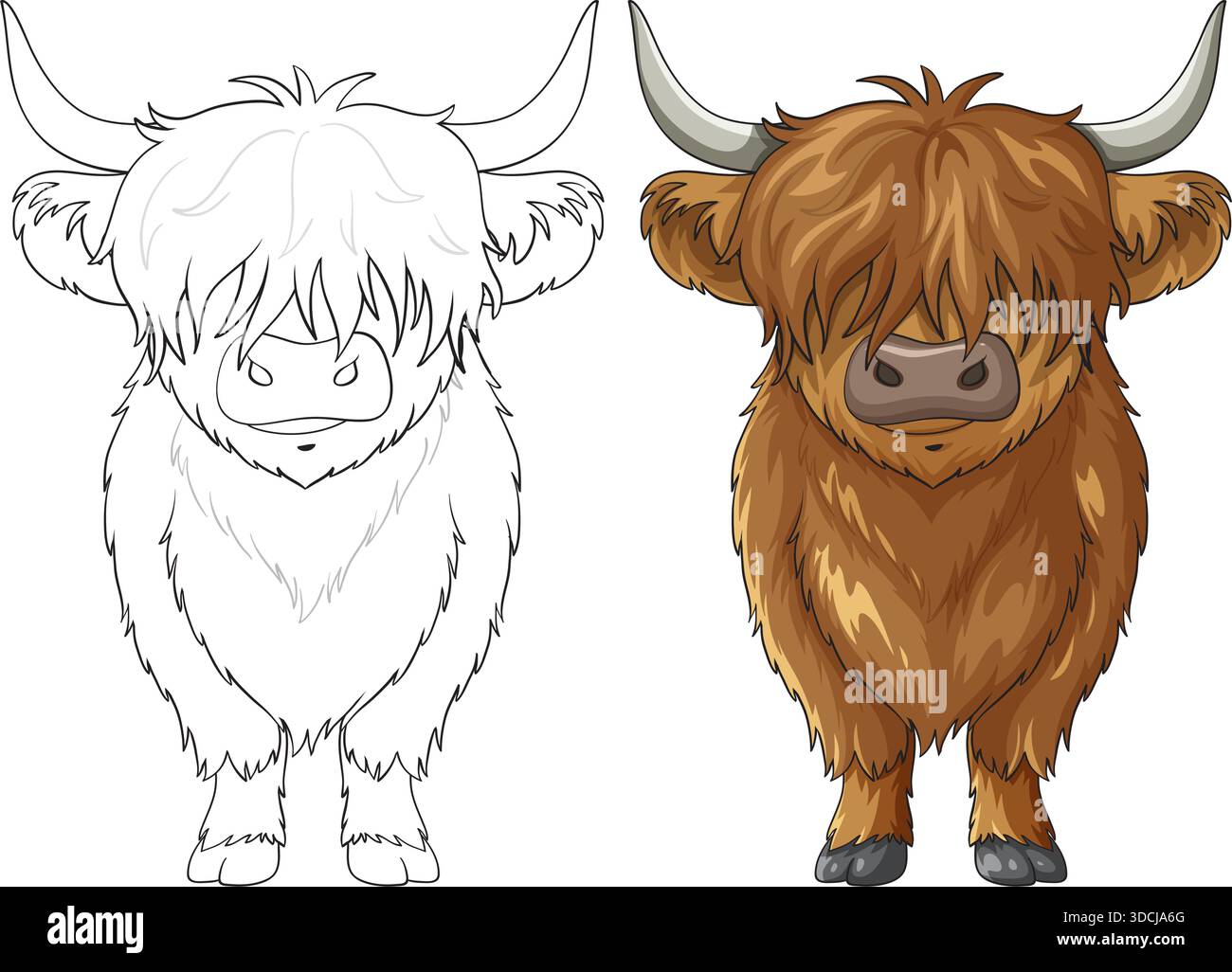Front-facing Highland cow shown in both detailed color and clean line art styles, emphasizing shaggy fur, large horns, and symmetrical composition Stock Vector