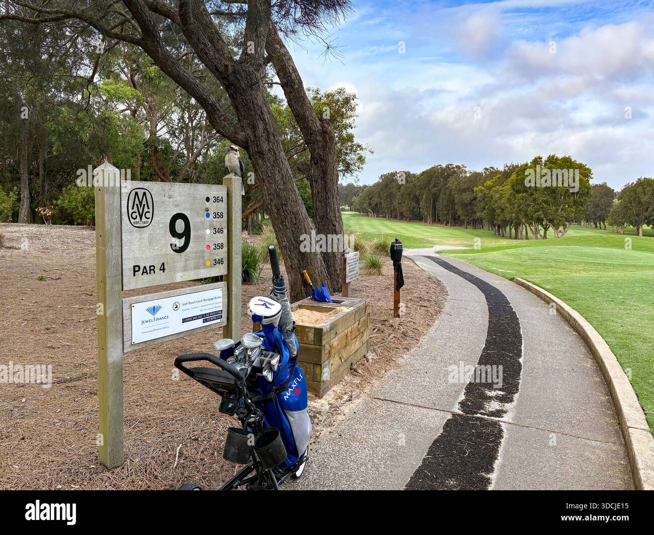 Sydney,Australia, Mona Vale public golf course golf trolleys with bags at the par 4 9th hole on this 18 hole course on Sydney northern beaches - Smartphone Captured Stock Image