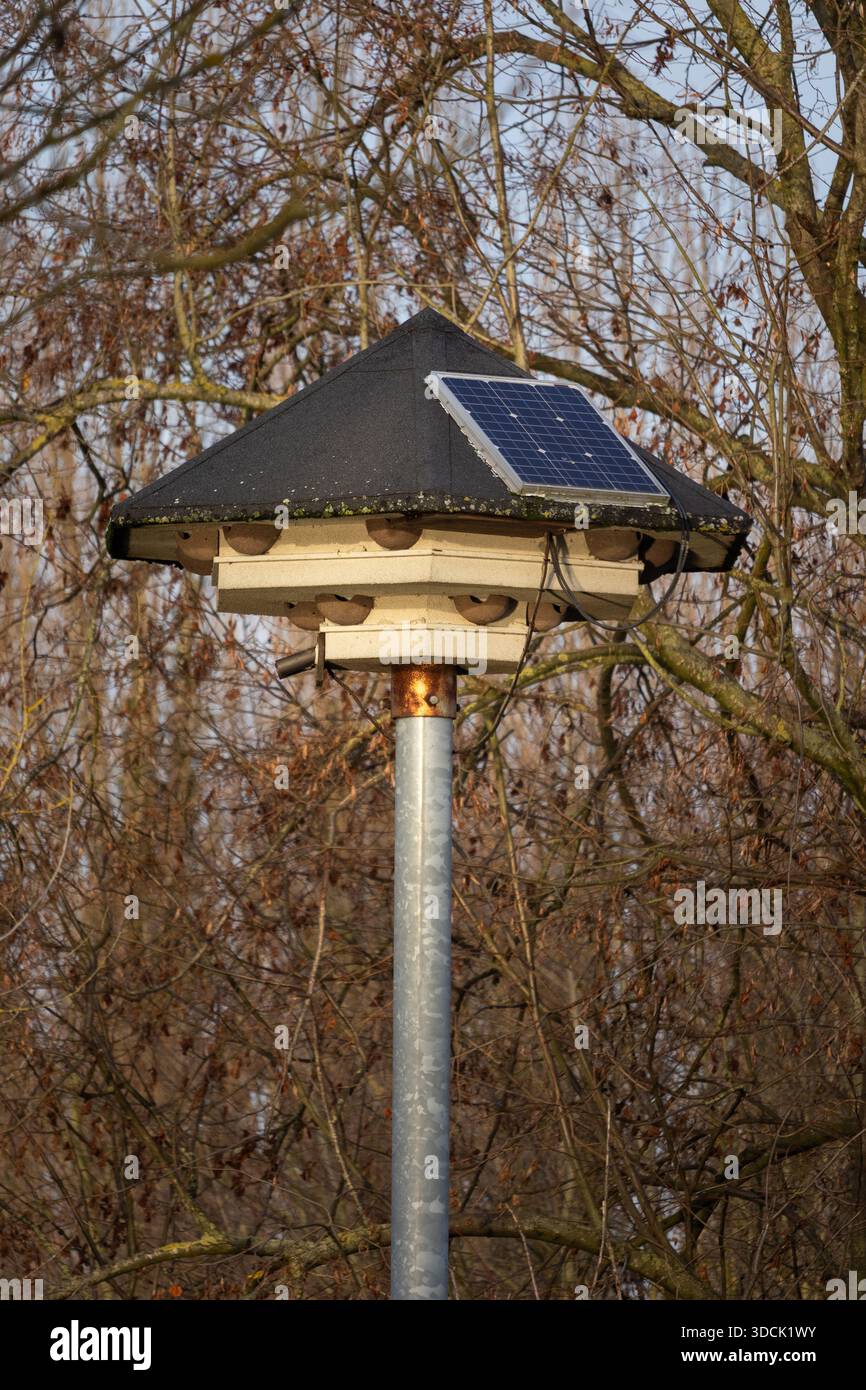 Manmade Swallow house with artificial swallow nests against a background of trees. Bird conservation concept. - Stock Image
