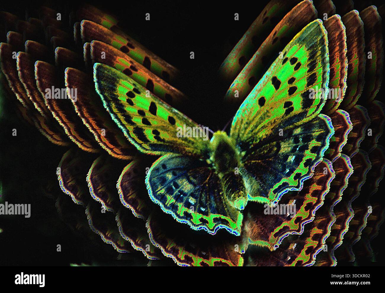 Wings of art hi-res stock photography and images - Alamy
