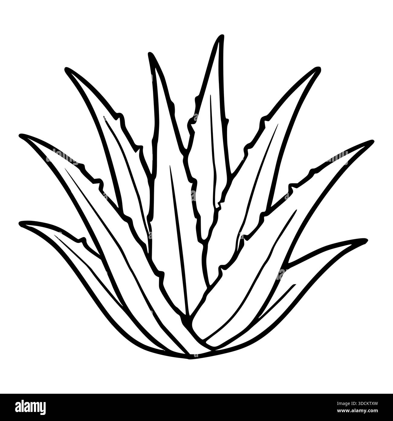 klapp creme aloe vera KLAPP Skin Natural Aloe Vera Cream – KLAPP main image 1