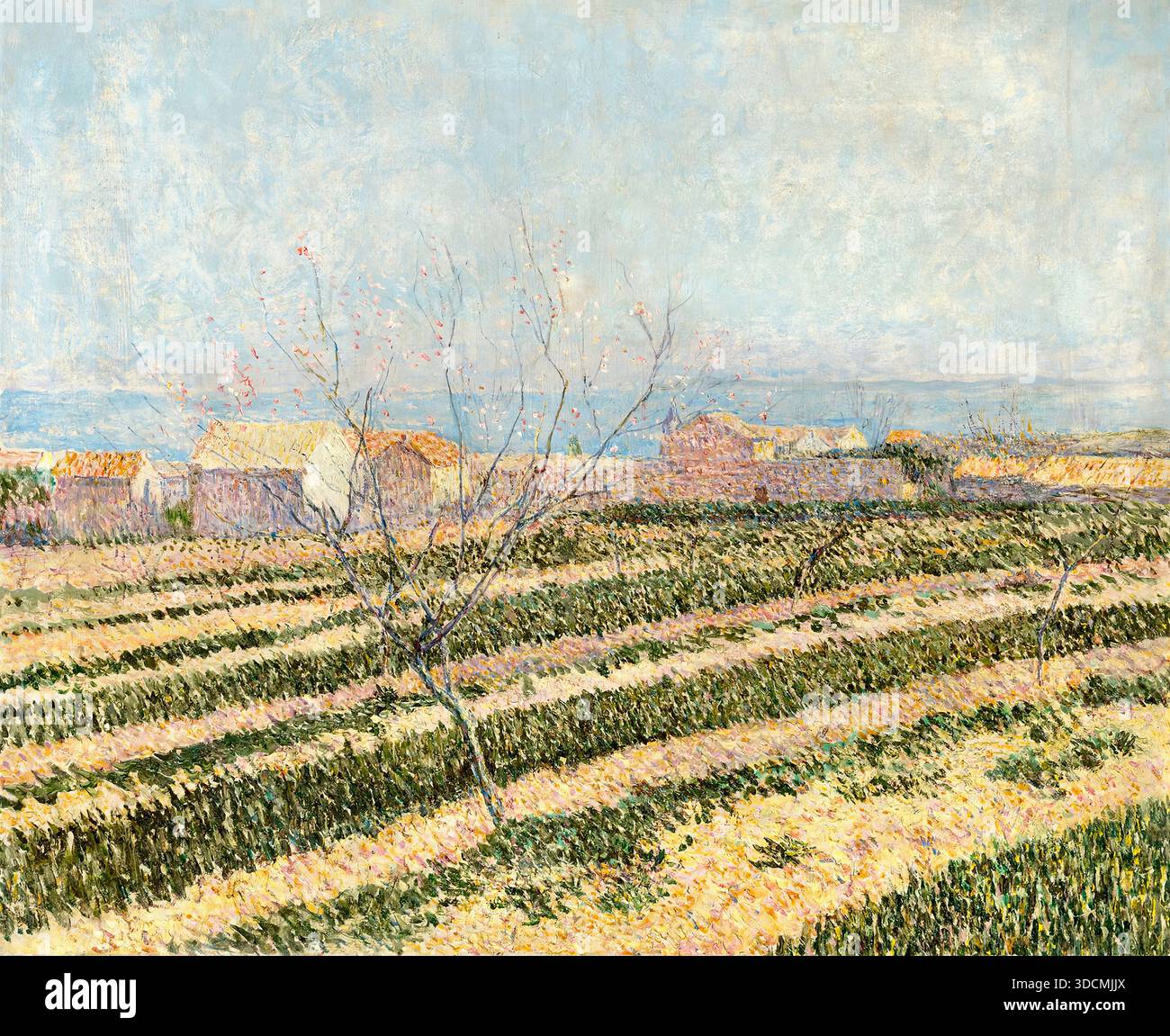 Paul Baum - Capri Stock Photo