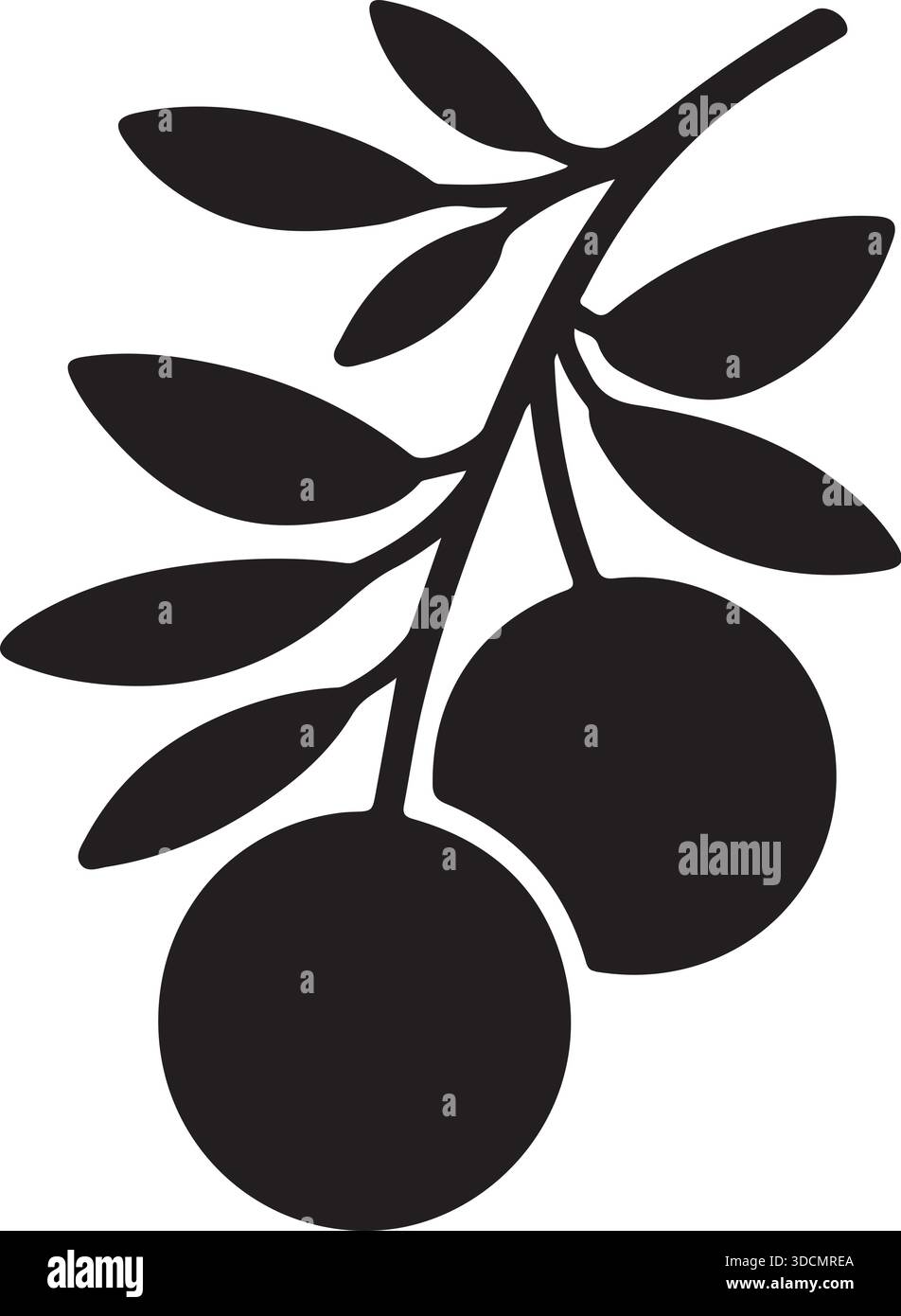 Olive Branch Silhouette with Leaves and Ripe Olives Black Vector ...