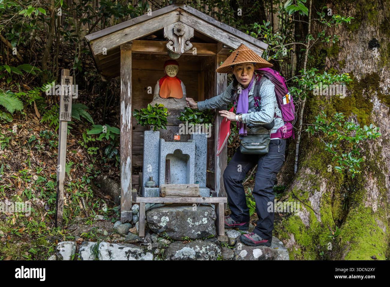 Jizō, the bodhisattva of the earth, watches over a small shrine as a stone statue on the Kumano Kodo near Tanabe, Wakayama Prefecture, Japan. He is considered a protector of travellers, children and the souls of the deceased. Red fabrics on the figure are meant to ward off demons; locals still visit the Jizō figure today to ask for protection. A hiking guide points to the statue, and the shrine is one of the 99 Oji shrines on the pilgrimage route. Stock Photo
