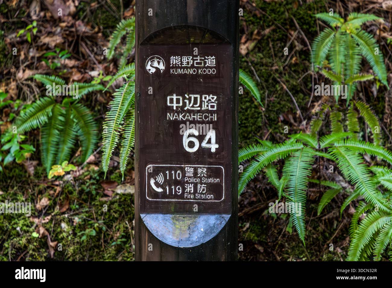 A numbered landmark with emergency phone numbers stands on the Kumano Kodo near Tanabe, Wakayama Prefecture, Japan. Landmark number 64 belongs to the Nakahechi route and helps hikers report their exact location in an emergency. Stock Photo