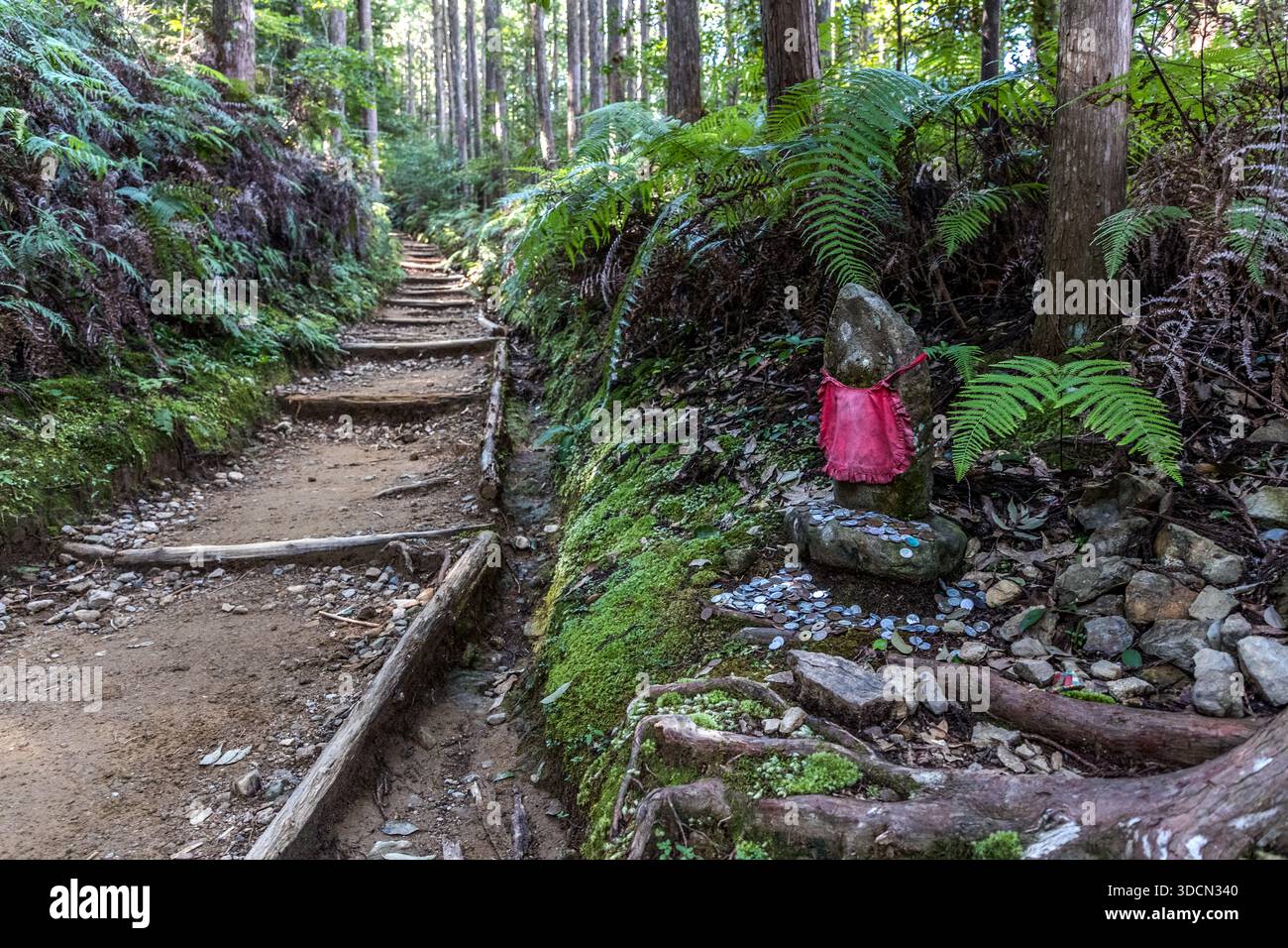 A weathered Jizō statue wears a red bib and sits among coins on a mossy stone base beside the Kumano Kodo trail near Mizunomi-oji, Tanabe, Wakayama Prefecture, Japan. Jizō protects travellers, children and souls in the afterlife; pilgrims leave coins to ask for mercy or healing, and the village community uses the money to maintain the shrine. The stone marks one of 99 Oji shrines along the historic Nakahechi pilgrimage route. Stock Photo
