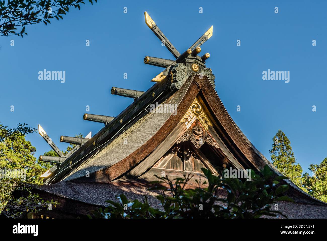 The decorative timbers on the roof of Kumano Hongu Taisha: Chigi are the pointed, golden forks at the ends of the roof. They symbolise the transition between heaven and earth and the connection to the divine, and 'pierce the sky'. Katsuogi are the transverse beams. They emphasise the majestic silhouette and represent purity and protection by the kami. Kumano Hongu Taisha is the centre of Kumano Sanzan (Hongu, Hayatama and Nachi Taisha) and the main shrine of more than 4,700 Kumano shrines. Detailed roof construction of a traditional Japanese building in Tanabe, Wakayama Prefecture, Japan Stock Photo