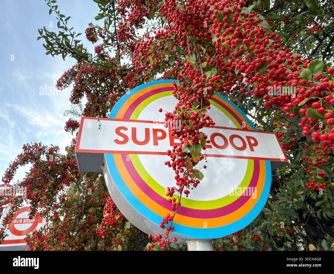 Siperloop Sign London, England – TfL Superloop bus service sign with colorful rainbow ...