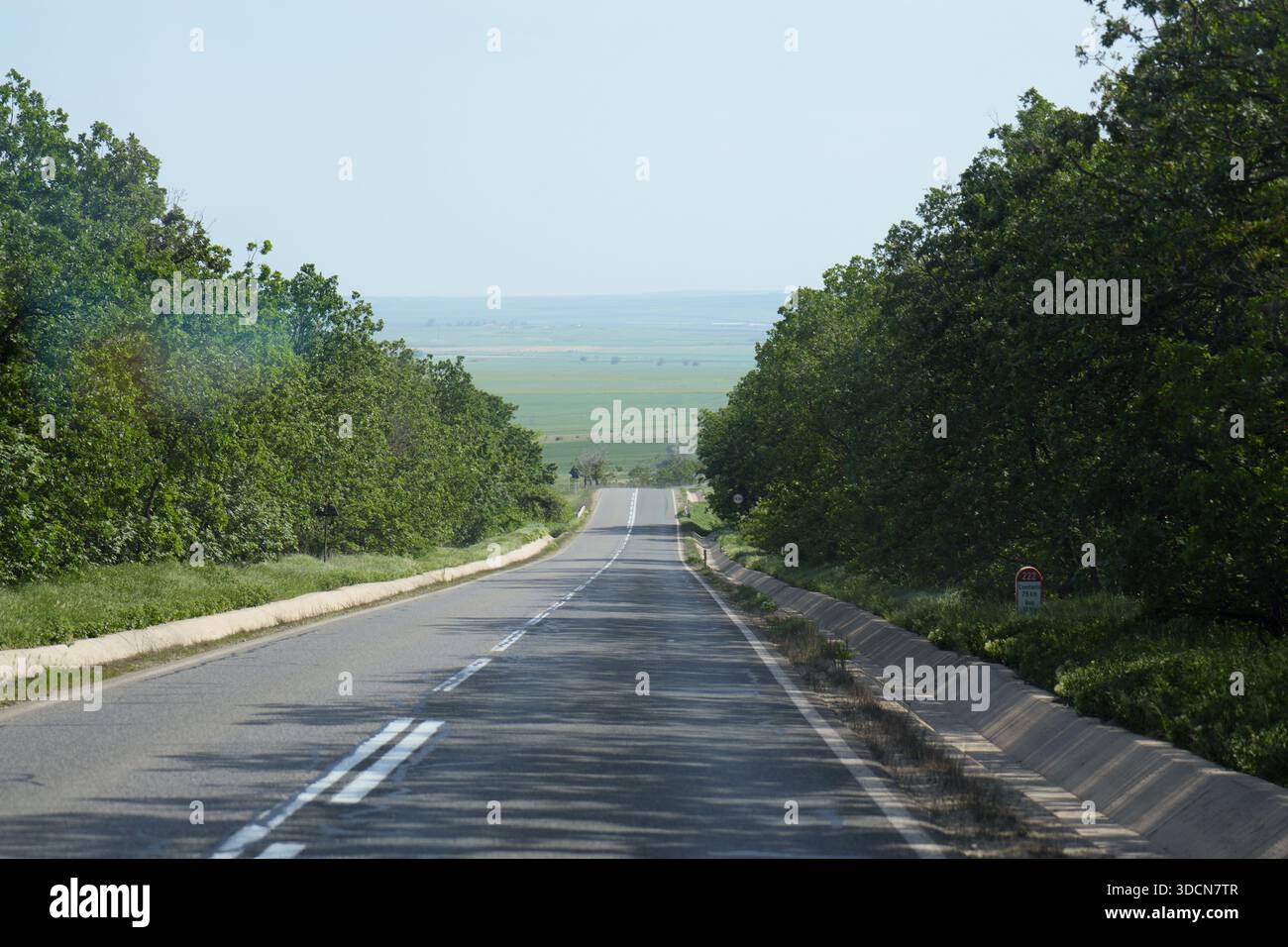 Travel romania tulcea sulina danube delta black sea asphalt road descending between lush trees, leading to distant green fields under clear sky Stock Photo