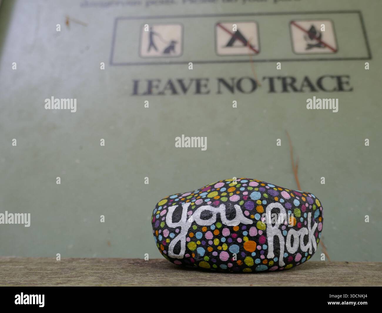You rock kindness rock in front of blurred leave no trace environmental ...