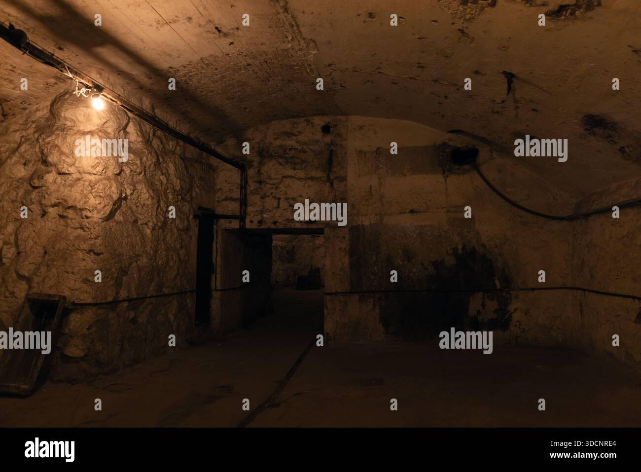A dim underground basement scene with rough stone walls, arches, and a ...