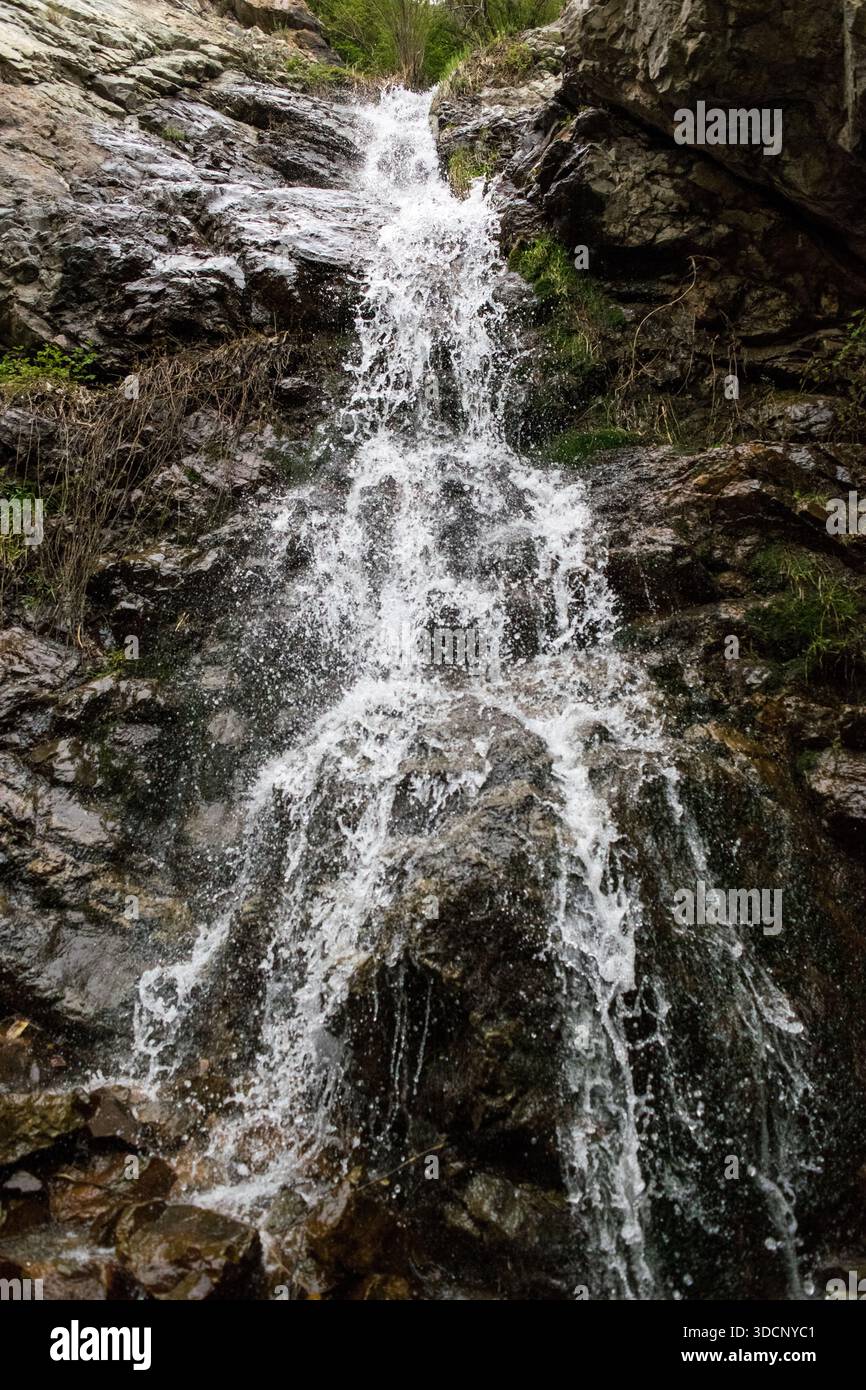 High speed capture hi-res stock photography and images - Alamy