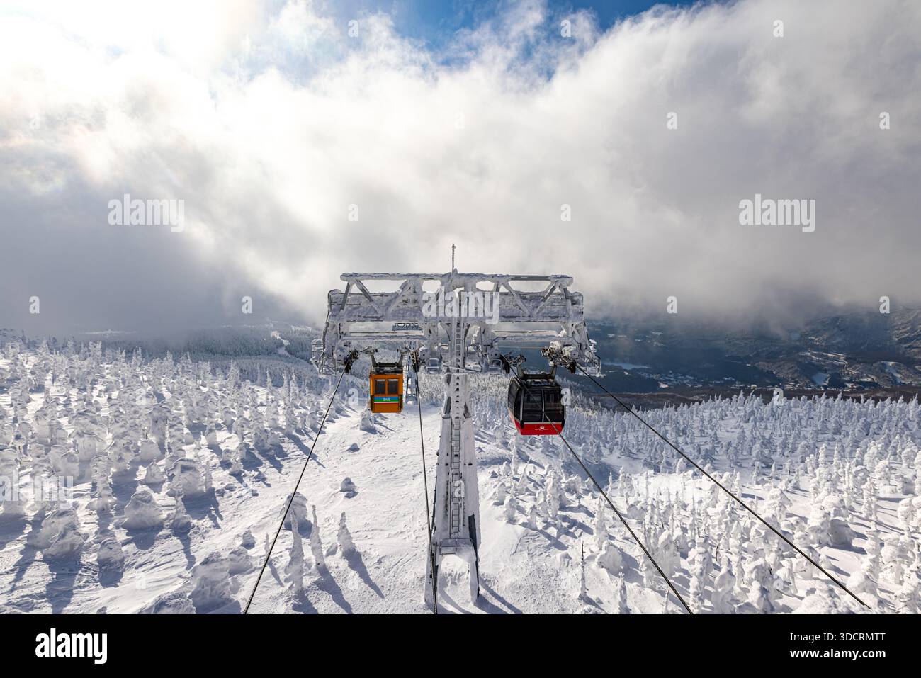 Ice-covered trees at Zao in Yamagata Prefecture Stock Photo