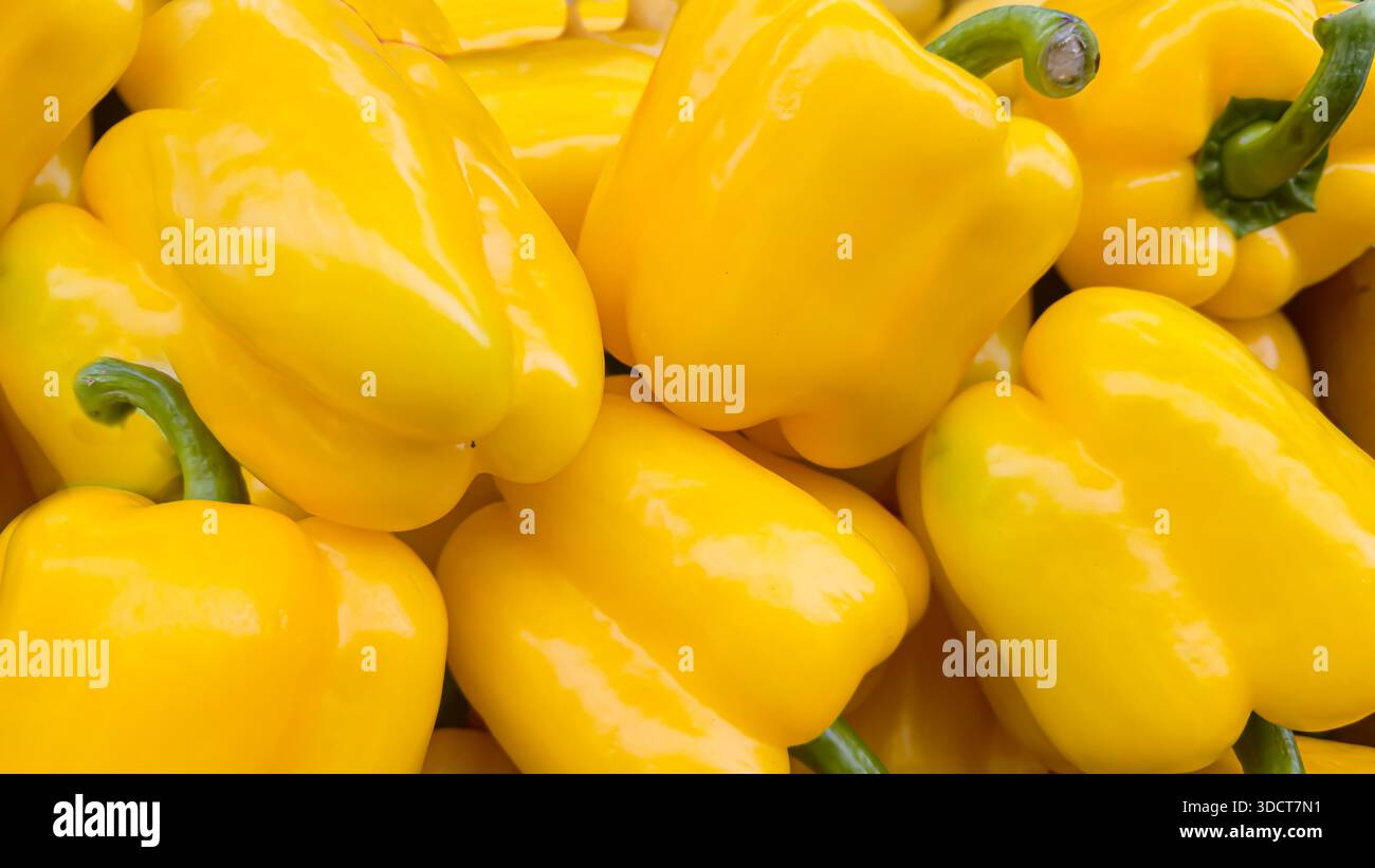 Large sweet peppers in large boxes on store shelves. Displaying and selling vegetables. Procurement. Stock Photo