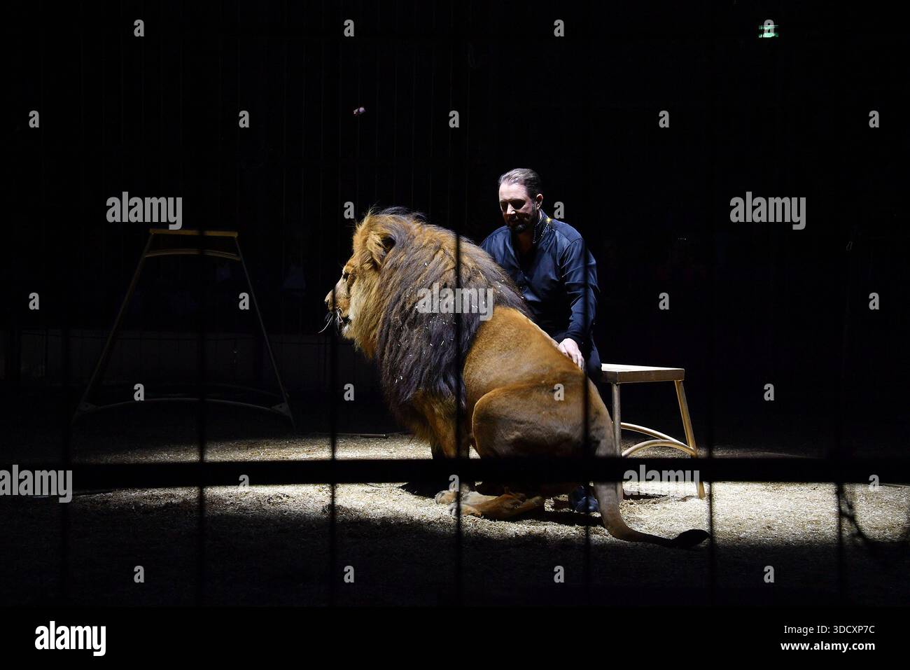 Muenchen, Germany. 26th Dec, 2025. Martin Lacey jr. attends the Circus Krone Winter Season Premiere at Circus Krone on December 25, 2025 in Munich, Germany Credit: Ralph Metzger/Alamy Live News Stock Photo