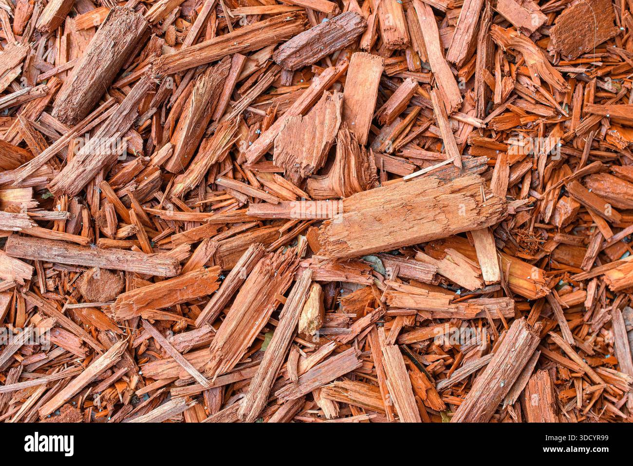 Close-up of shredded wood mulch forming a rough natural ground texture. Stock Photo