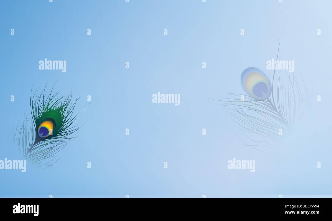 peacock feather on light sky colour background Stock Vector