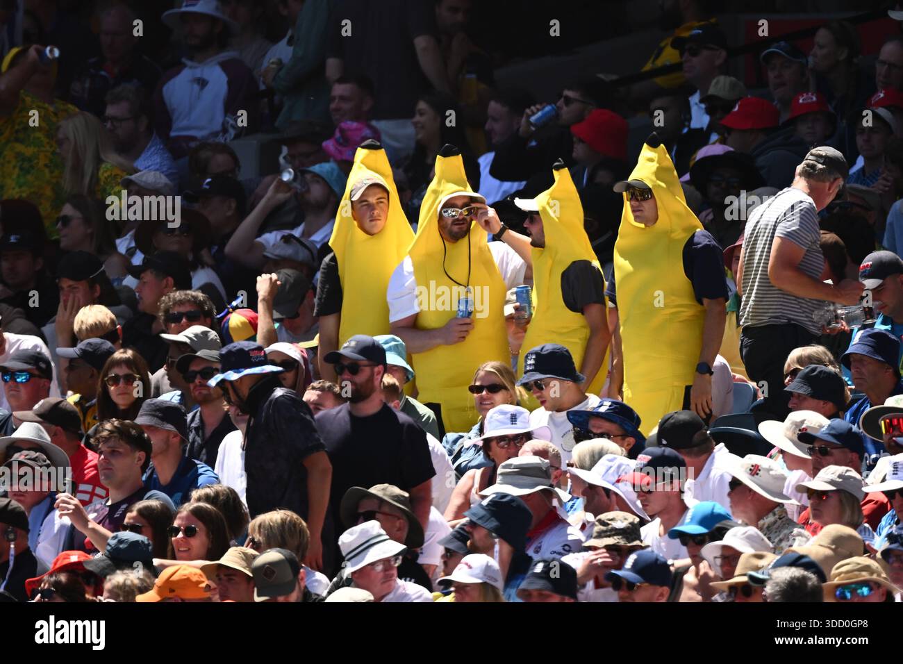 Spectators in the crowd during Day 2 of the Fourth Men’s Ashes Test ...