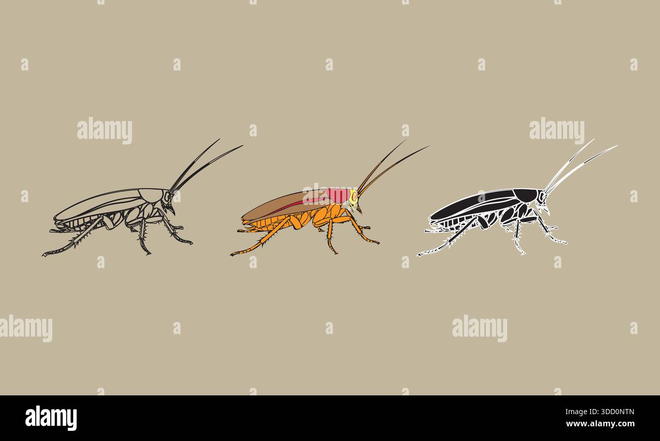 Three stylized cockroaches in different artistic renderings. Stock Vector