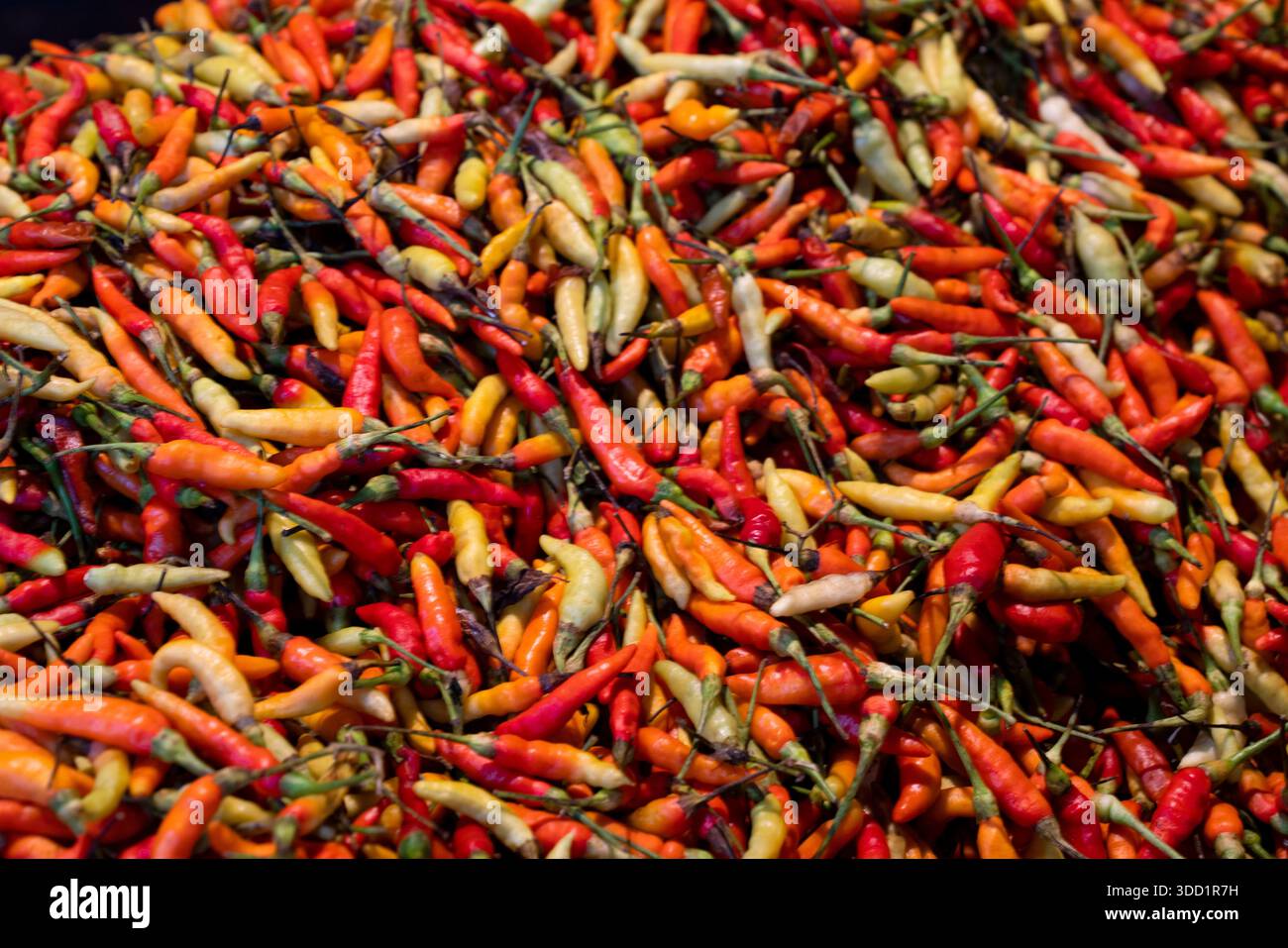 Close up fresh jalapeño hi-res stock photography and images - Alamy