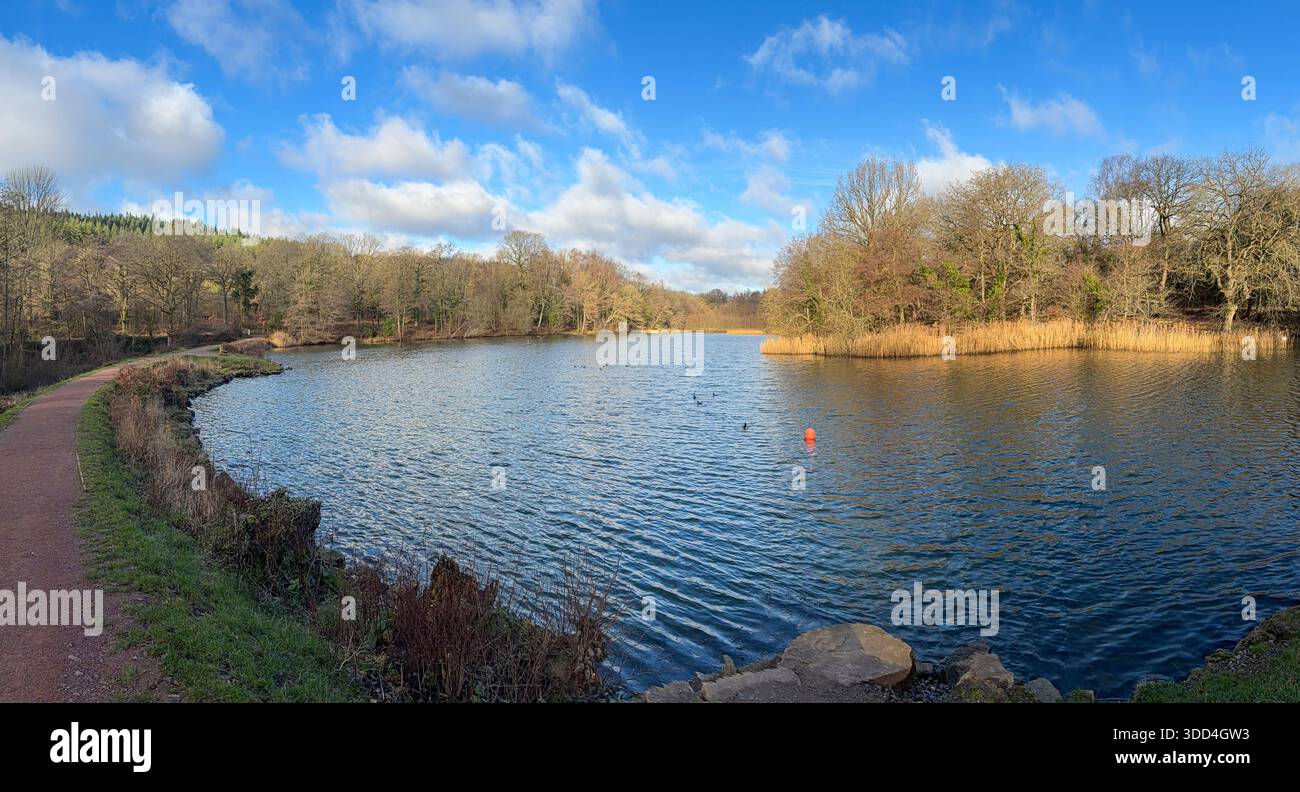 Cannop Ponds in the Forest of Dean, Gloucestershire. UK - Smartphone Captured Stock Image