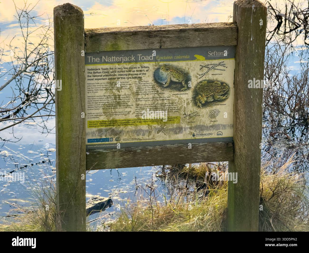 Natterjack Toad Sign Beside A pond In Ainsdale Dunes National Nature Reserve, Sefton Coast, UK - Smartphone Captured Stock Image