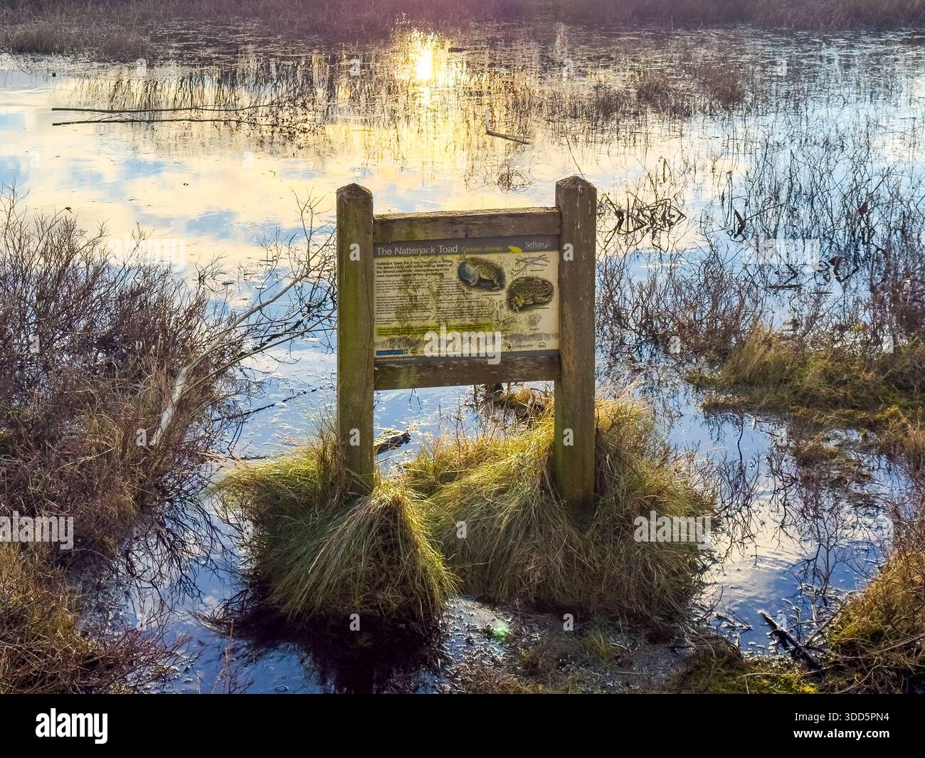 Natterjack Toad Sign Beside A pond In Ainsdale Dunes National Nature Reserve, Sefton Coast, UK - Smartphone Captured Stock Image