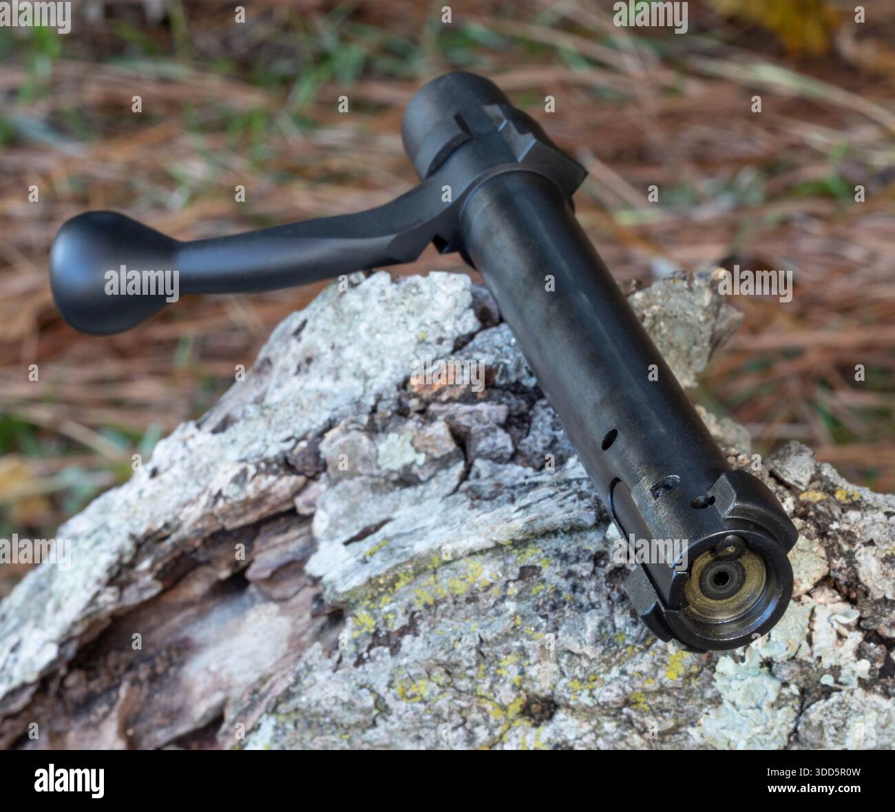 Firing mechanism removed hi-res stock photography and images - Alamy