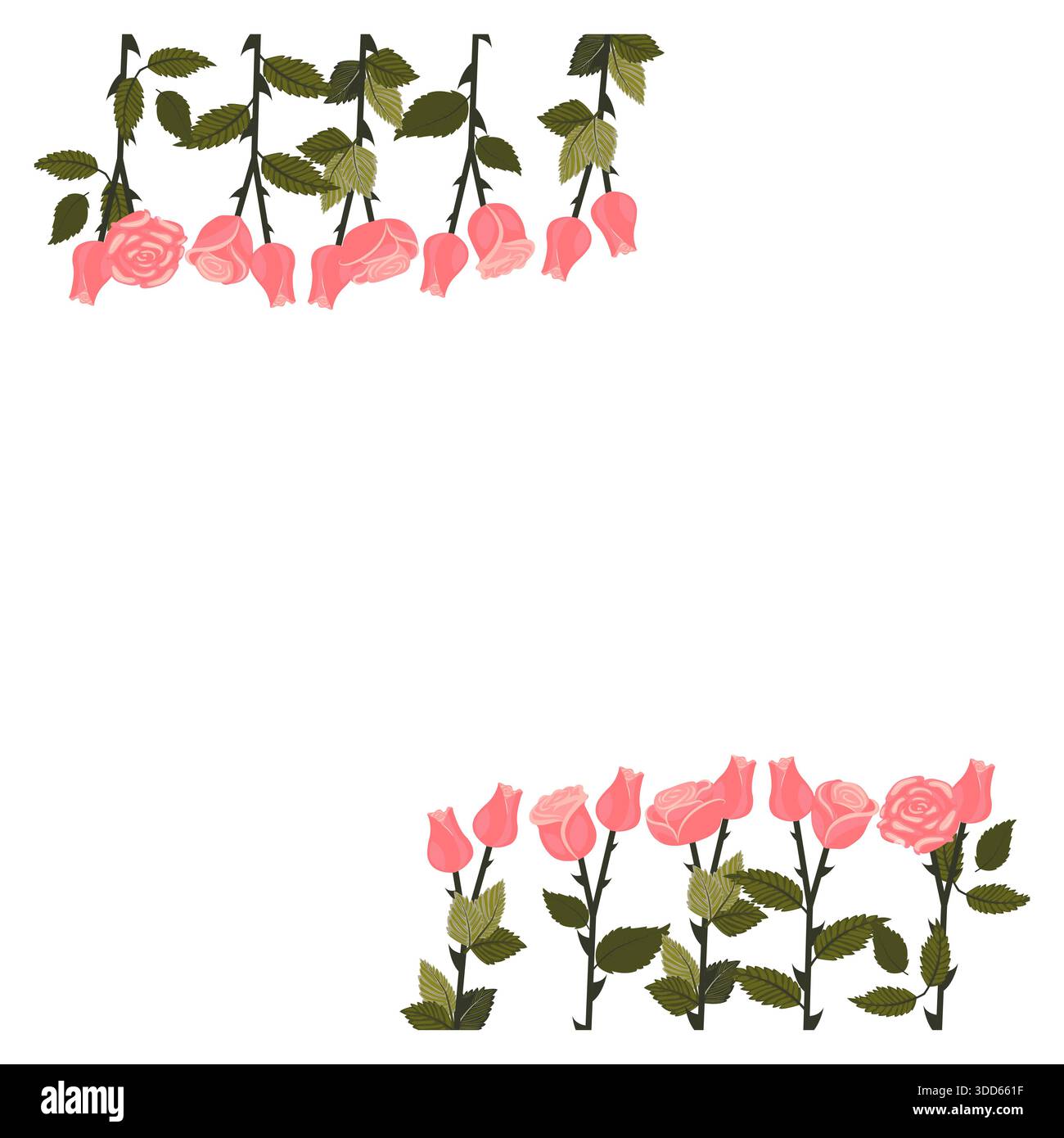 Pink Roses Bottom Line Rose bottom corner border hi-res stock photography and images - Alamy