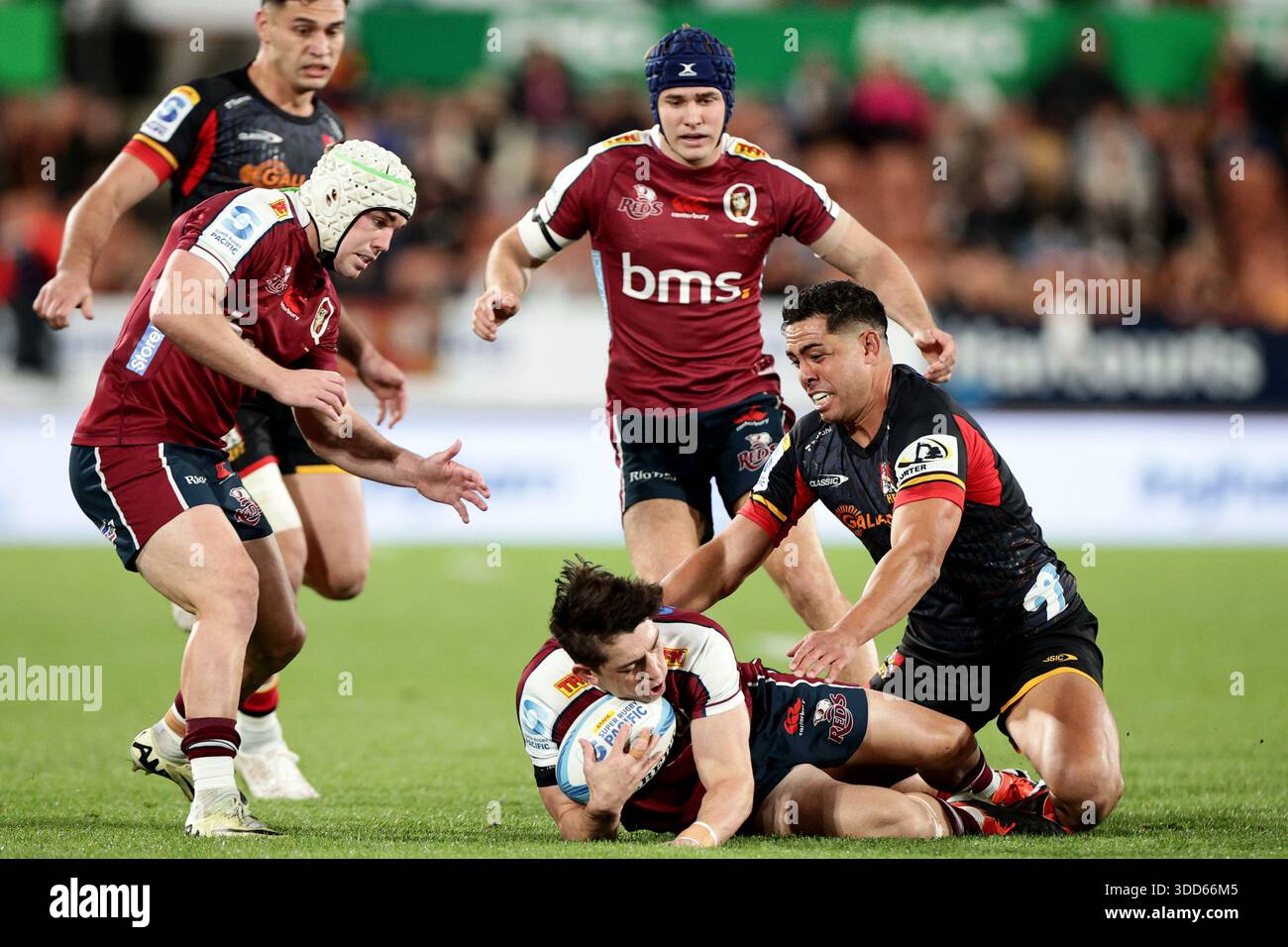 Campbell Reds Rugby Union Jock campbell reds rugby hi-res stock photography and images - Alamy