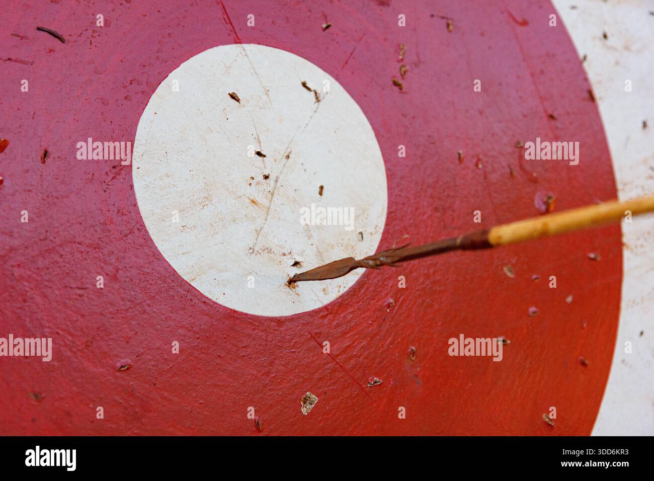Bullseye target with an arrow stuck in the centre ring in a garden practice area - Stock Image