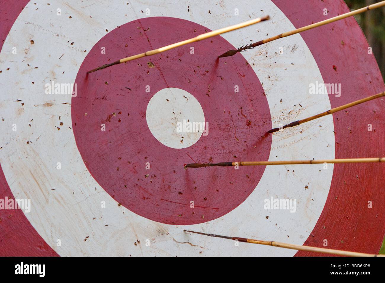 Bullseye target with arrows stuck in the outer rings in a garden practice area - Stock Image