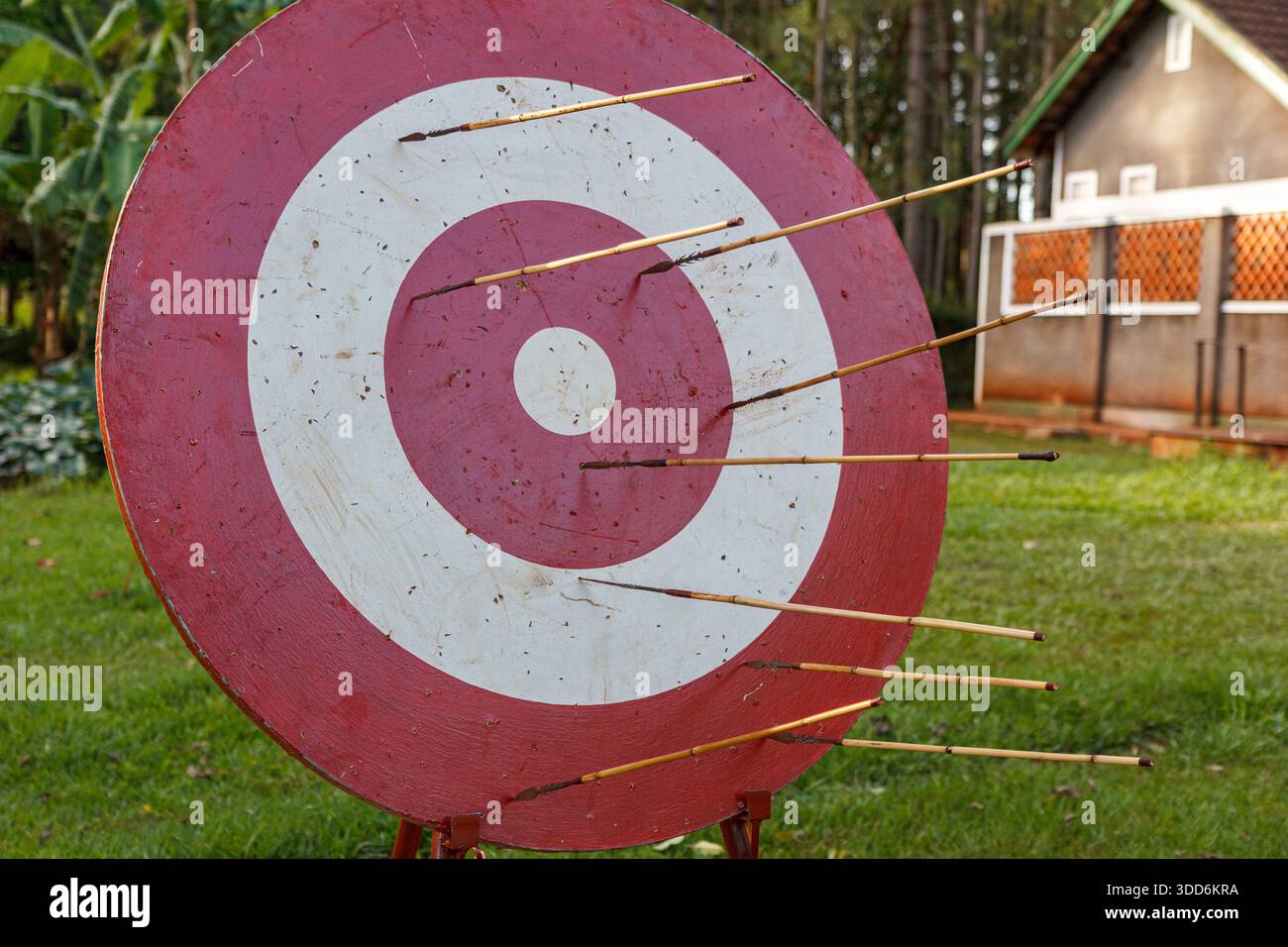 Bullseye target with arrows stuck in the outer rings in a garden practice area - Stock Image