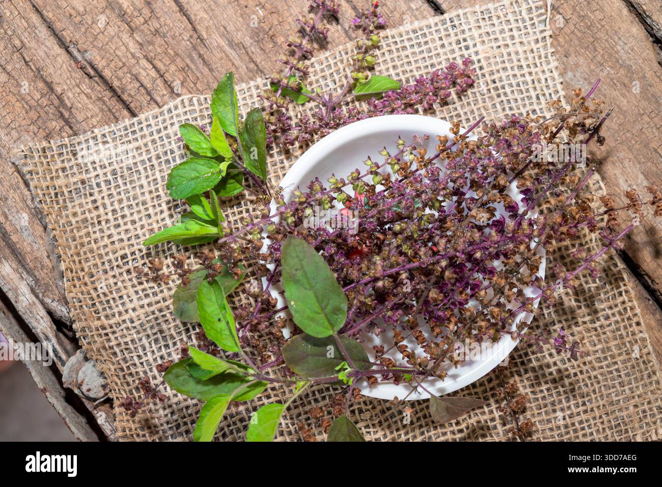 tulsi or holy basil leaf, Dried basil seed, flower on rustic wooden table.  tulsi is used in ayurvedic medicine Stock Photo - Alamy