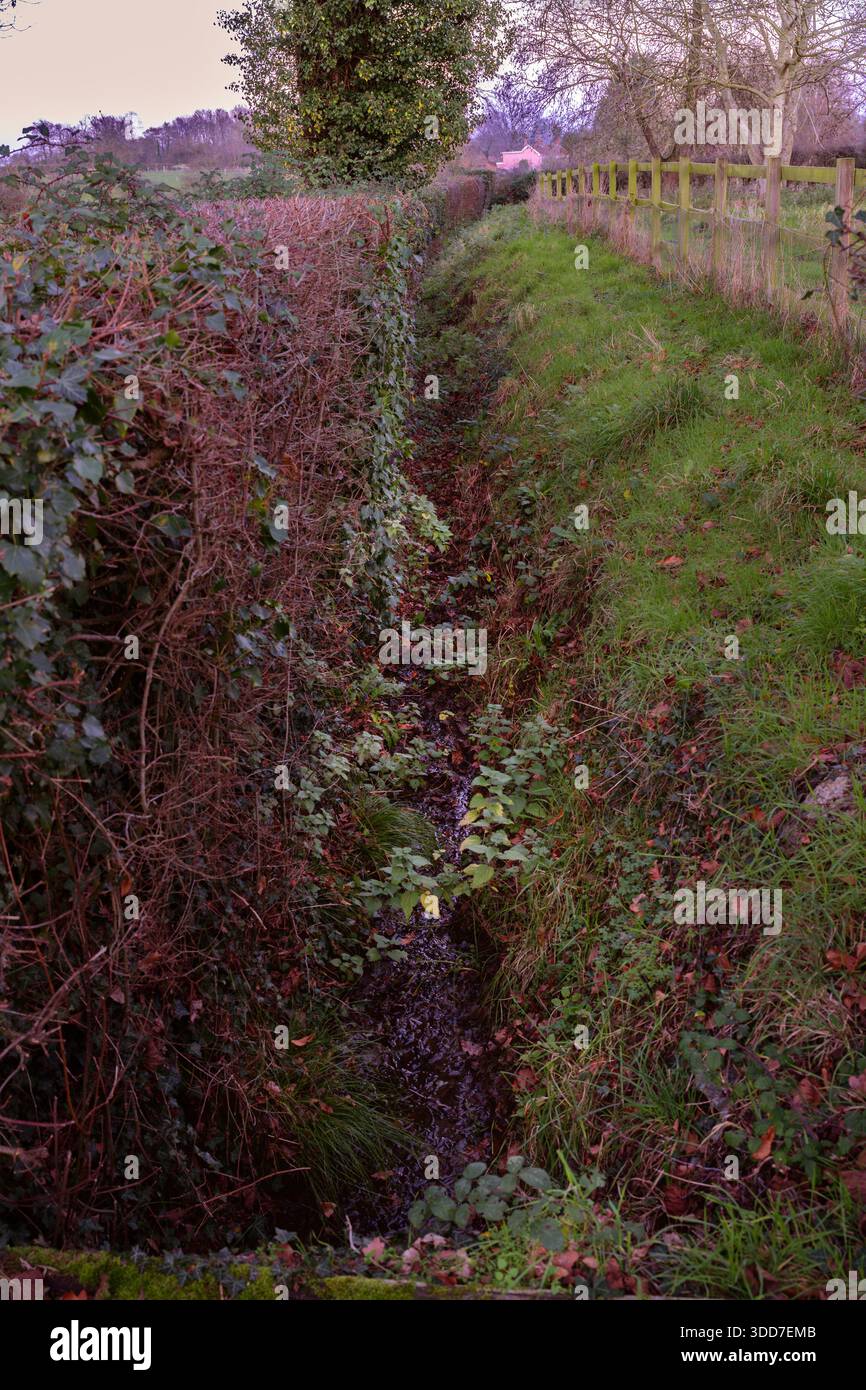 A rural scene looking down the line of a hedgerow with a pink cottage in the background. Norfolk, UK Stock Photo