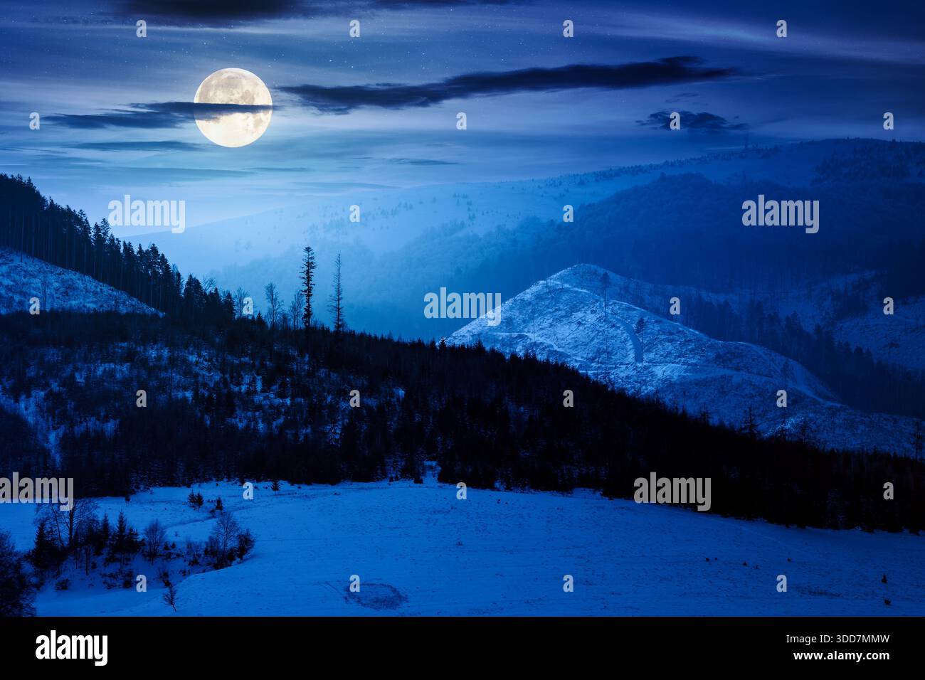 winter landscape with snow covered forested hills at night. mountains in cold weather in full moon light. rural scene. christmas holidays in alpine re Stock Photo