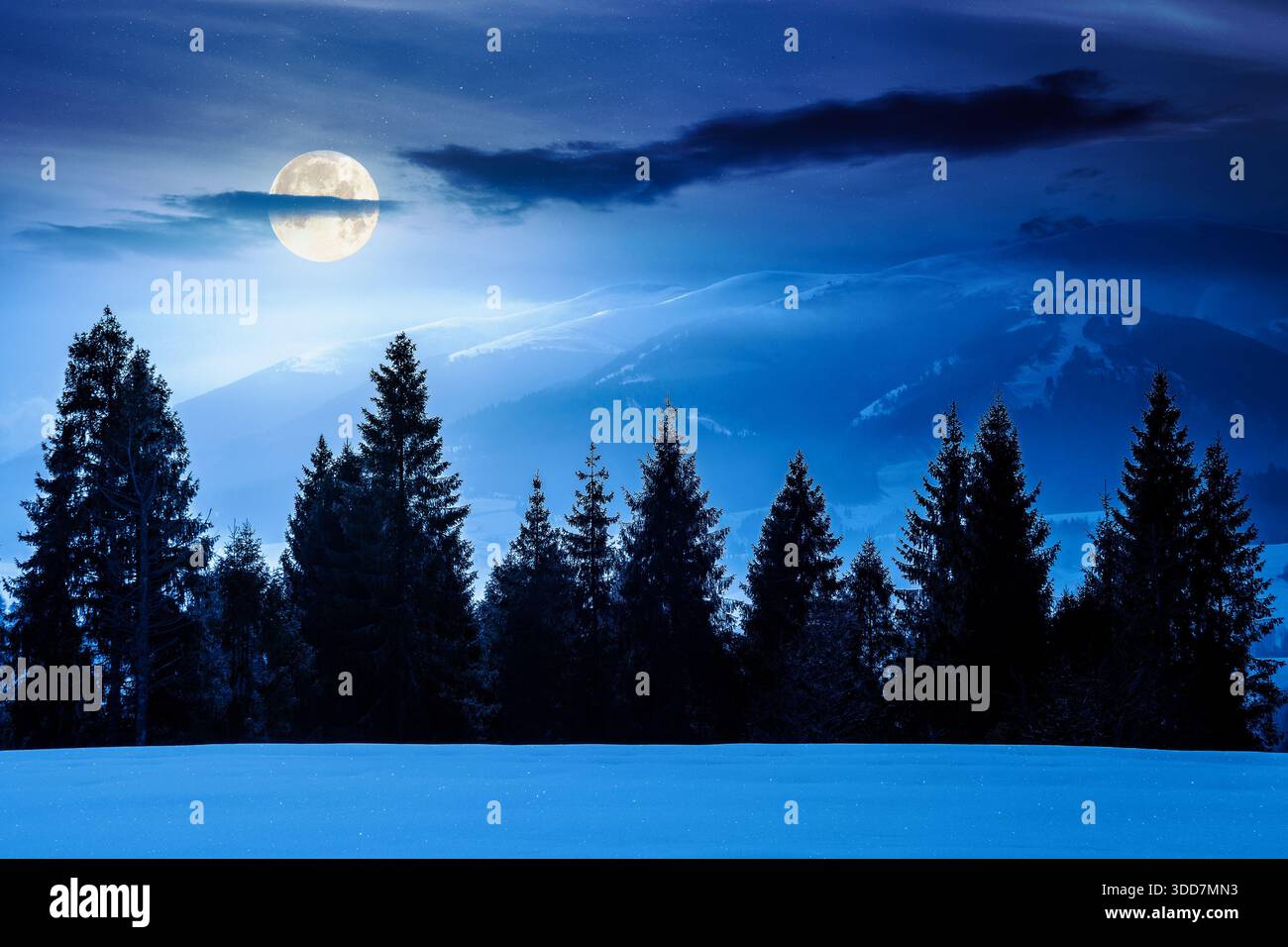 winter landscape at night. fir trees on snow covered hill in full moon light. mysterious place in mountains. winter wonderland background for photo tr Stock Photo