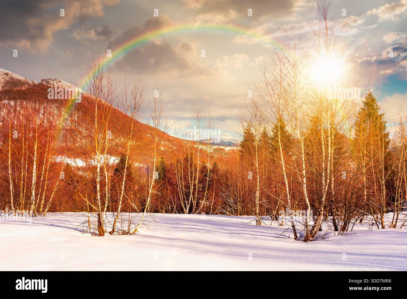 winter landscape at sunset. deciduous forest on snow covered hill in evening light. scenic scenery of natural park under blue sky for travel backgroun Stock Photo
