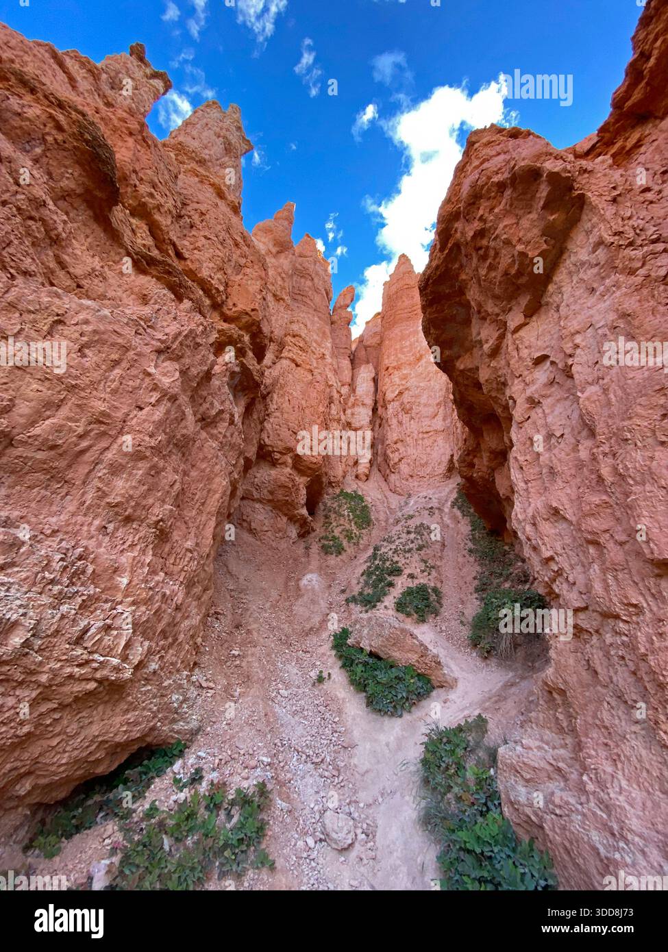 Looking up at towering red sandstone and limestone cliffs on the Queen's Garden trail in Bryce Canyon National Park, Utah, USA - Smartphone Captured Stock Image