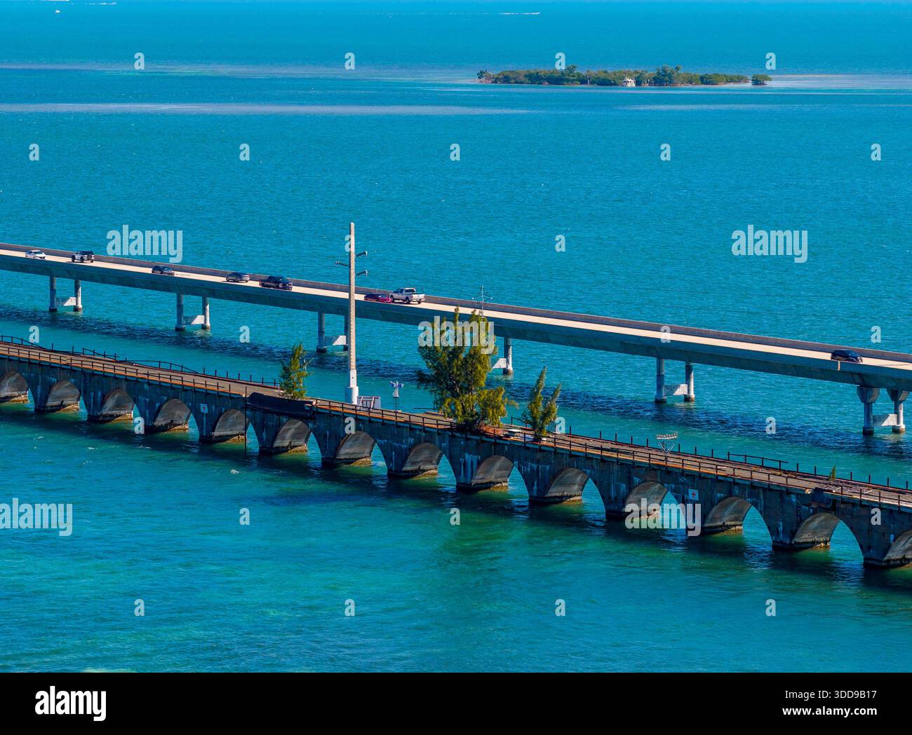 Aerial photo Fred the tree in the Florida Keys on the old railroad line ...