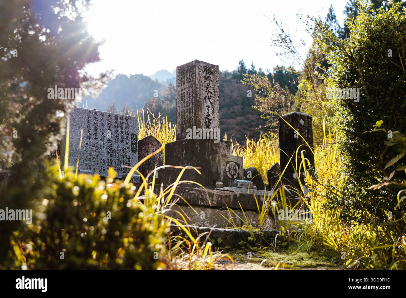Gravestones along the Nakasendo Trail between Tsumago-juku and Nagiso, Nagano, Japan Stock Photo
