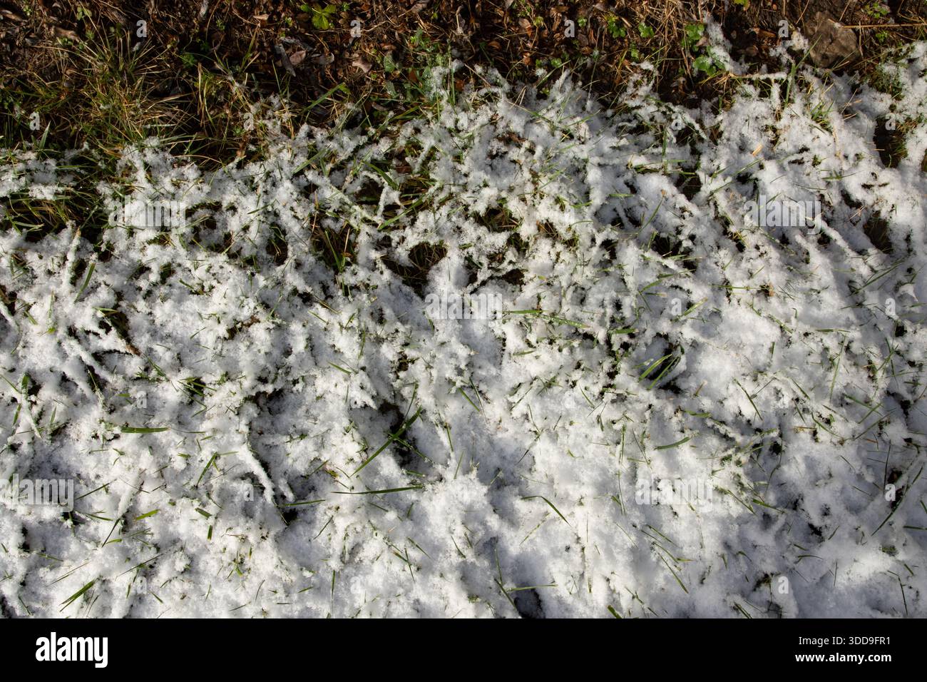 Melting snow on green grass showing seasonal change from winter Stock Photo