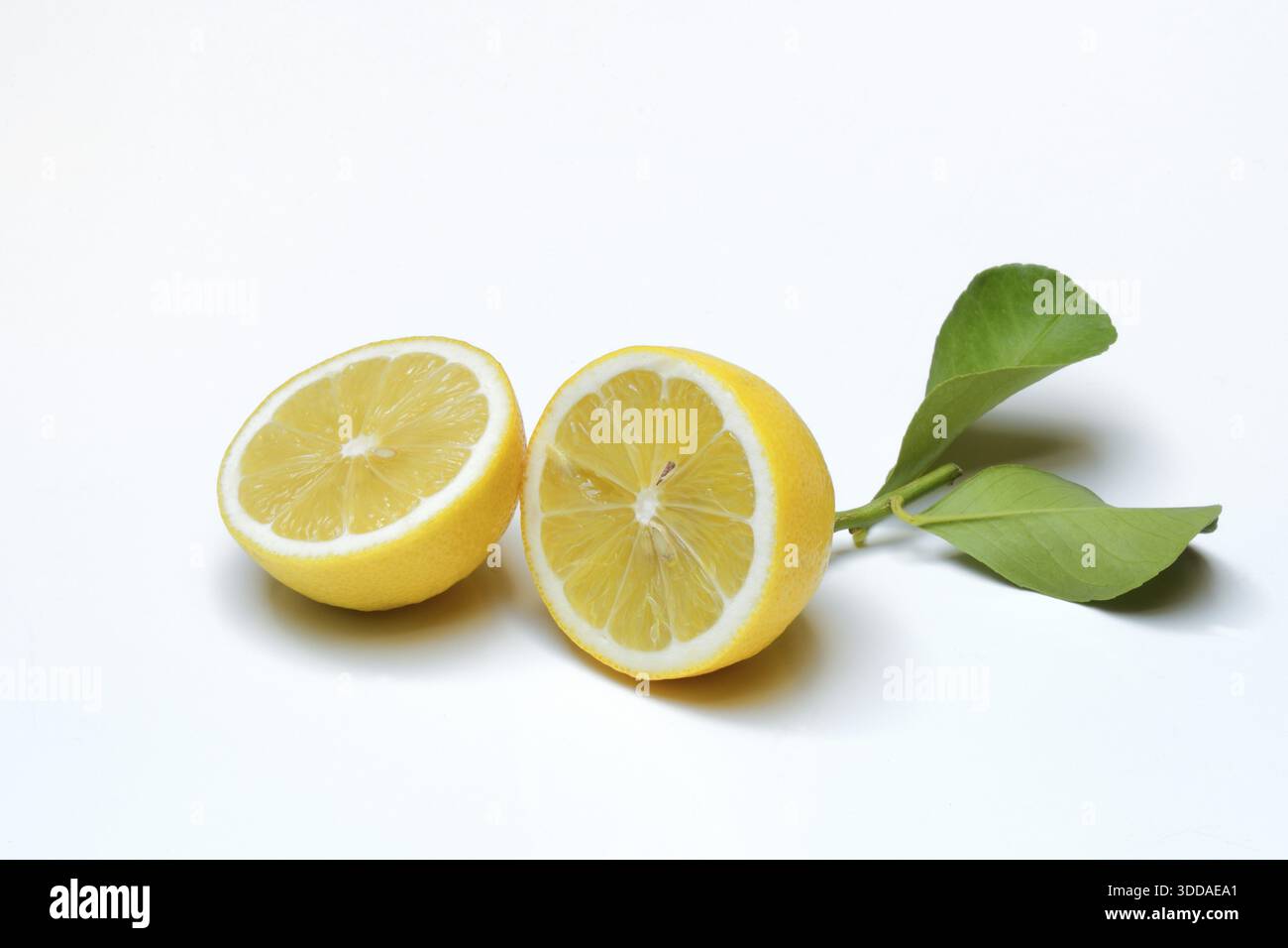Lemon with leaf, cut in half, Citrus x limon Stock Photo