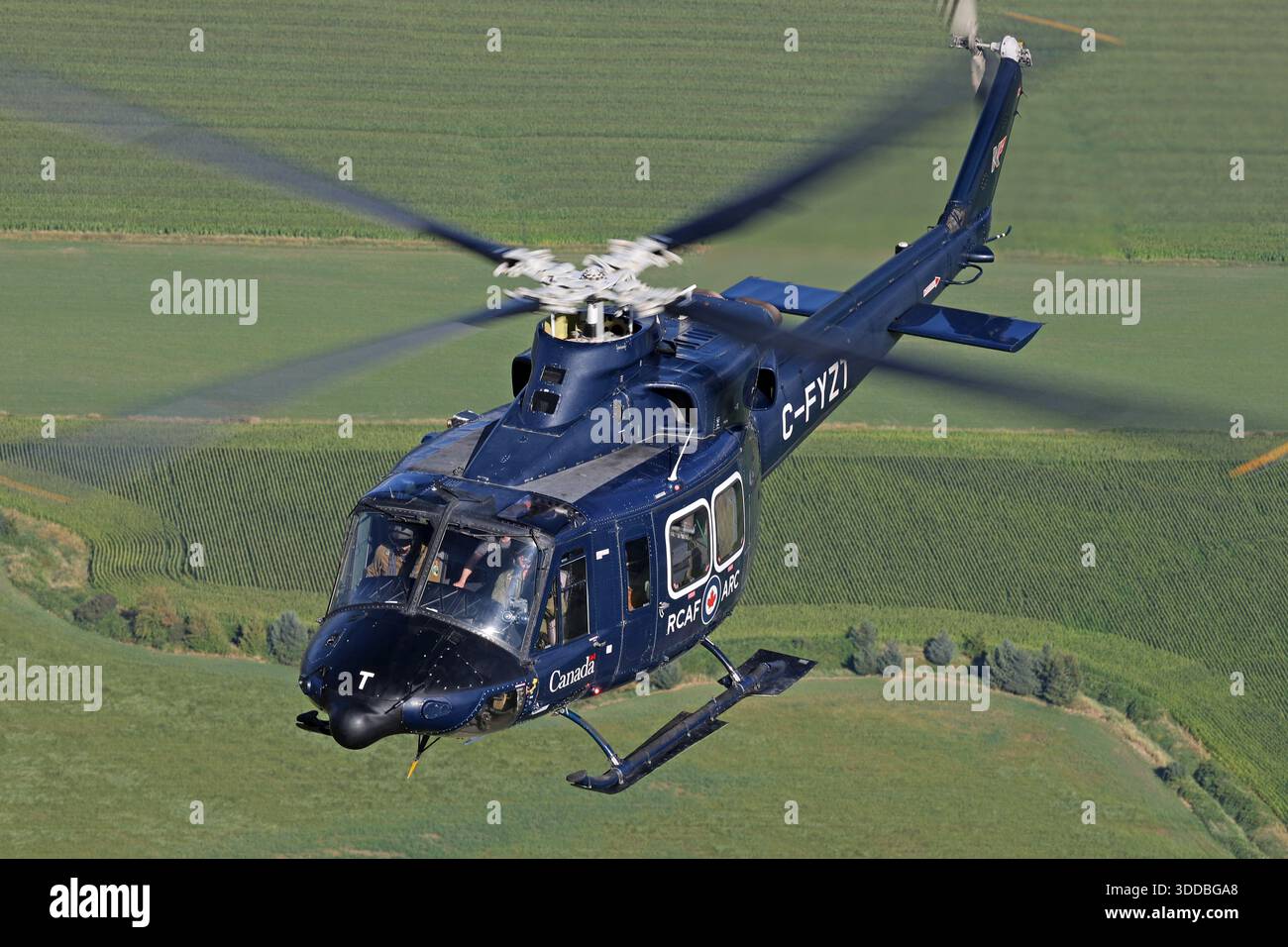 Canadian ch 146 griffon hi-res stock photography and images - Alamy