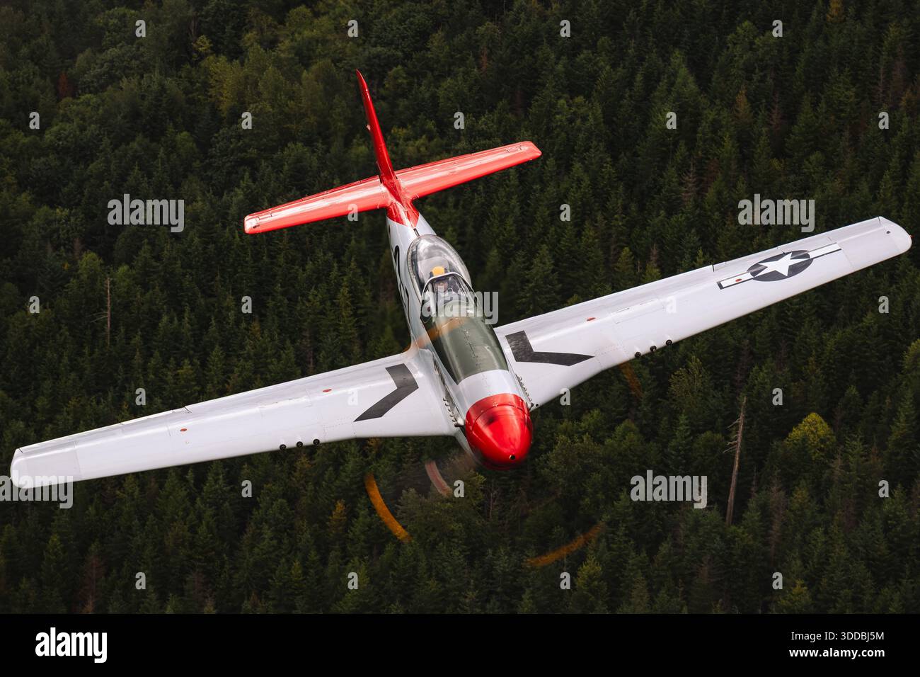 The North American P-51D Mustang, registration NL551D, serial number 1364, is captured in a close-up air-to-air view showing the pilot in the cockpit during the 2025 Abbotsford International Airshow in Canada. This demonstration highlights the aircraft’s operational cockpit layout, instrumentation, and pilot visibility, providing insight into the handling and control characteristics of this historic World War II fighter aircraft. Stock Photo