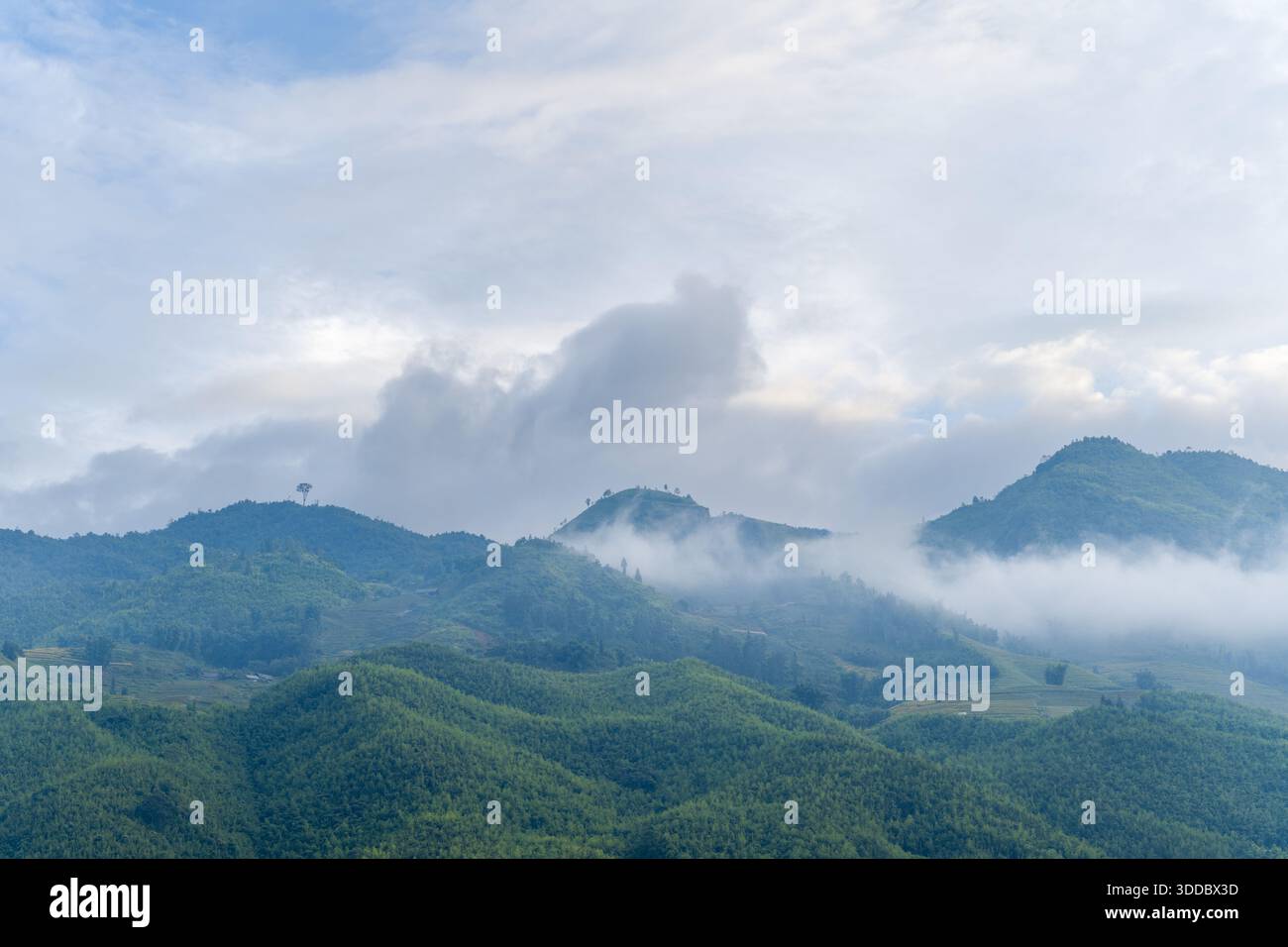 Verdant mountain ridges in Sapa, Vietnam, are veiled by wisps of low ...